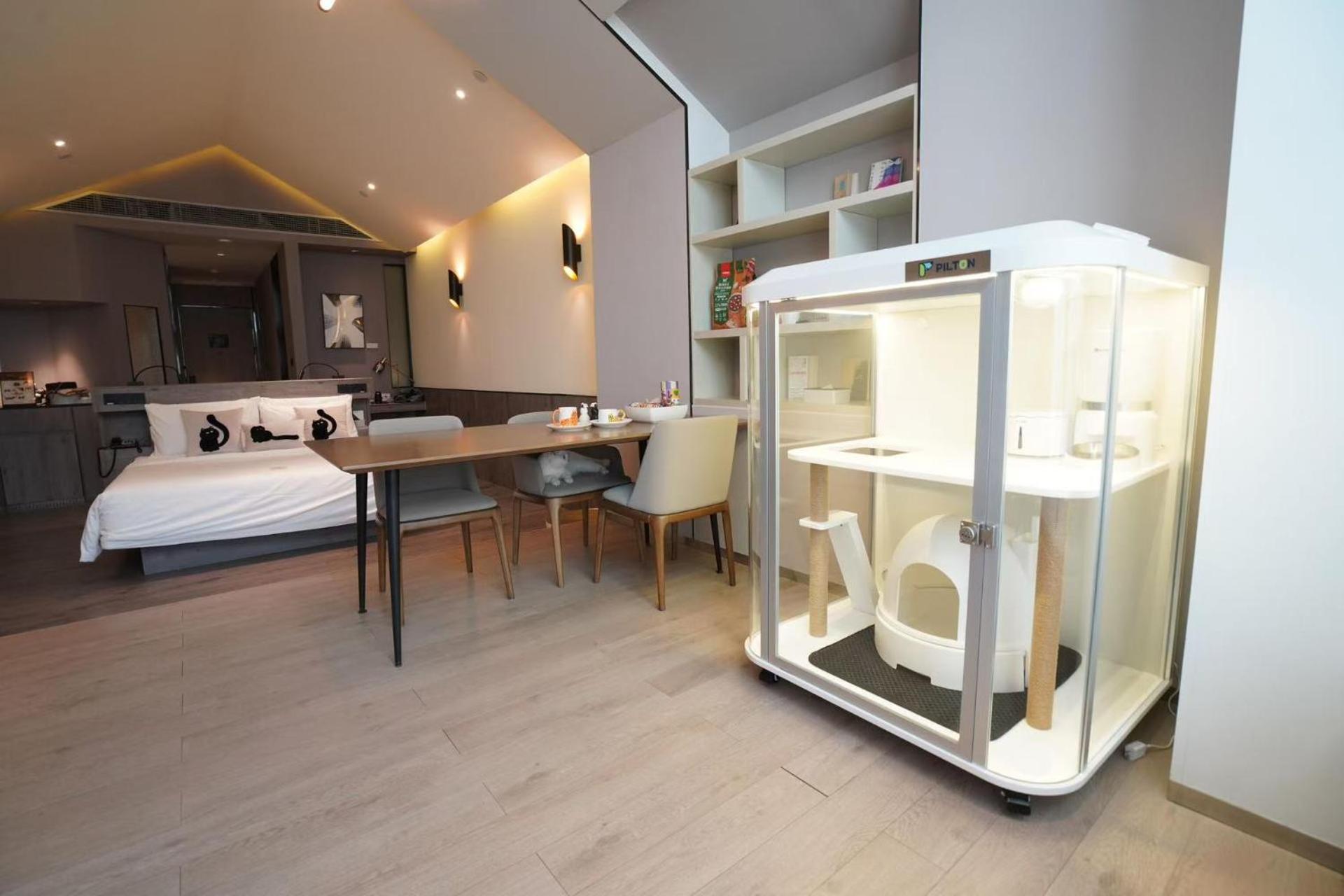 Theme Double Room - Cat Exclusive