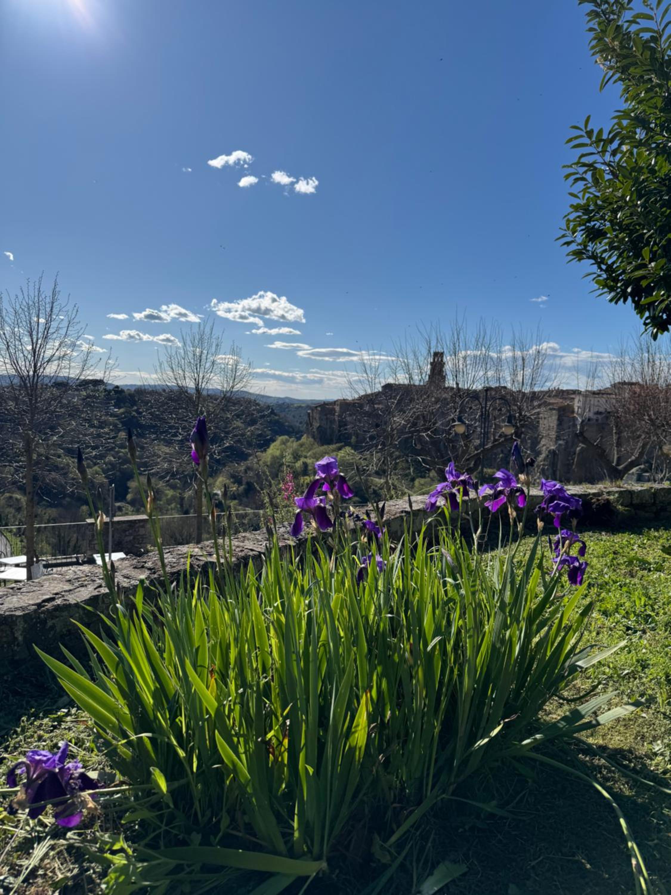 Villa with Garden View photo 2