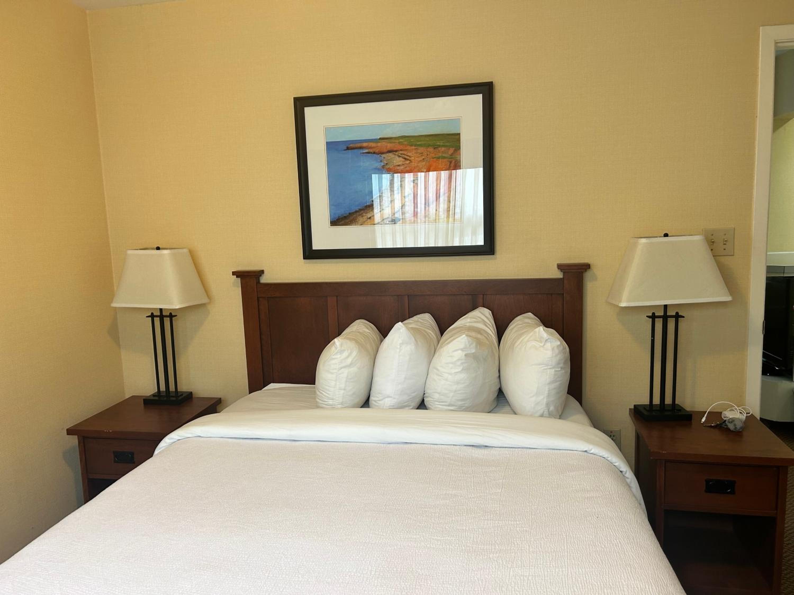 One-Bedroom Suite photo 1