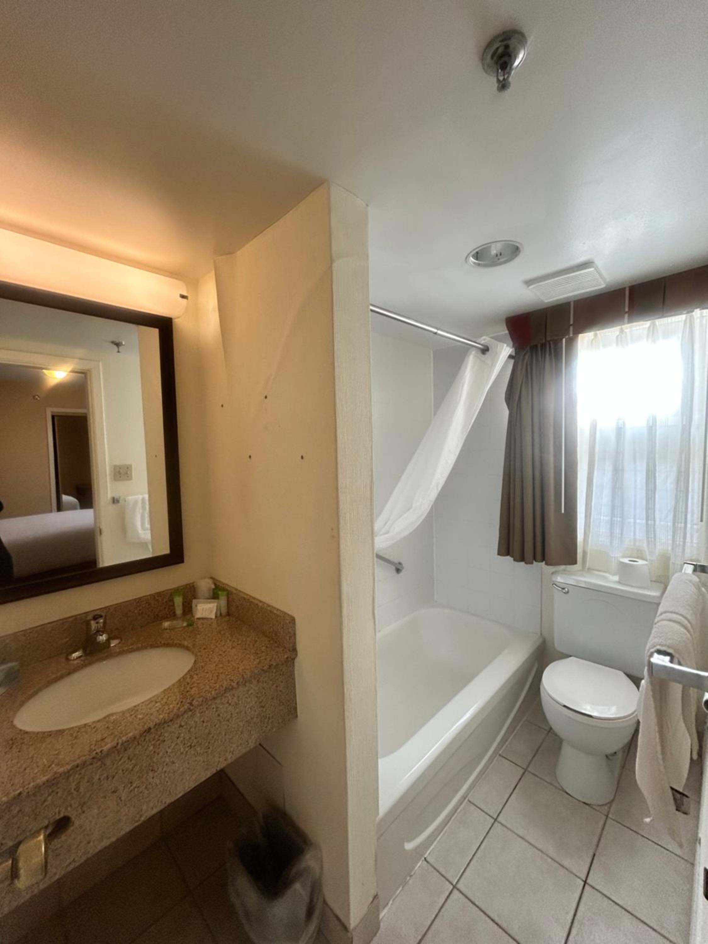 One-Bedroom Suite photo 3