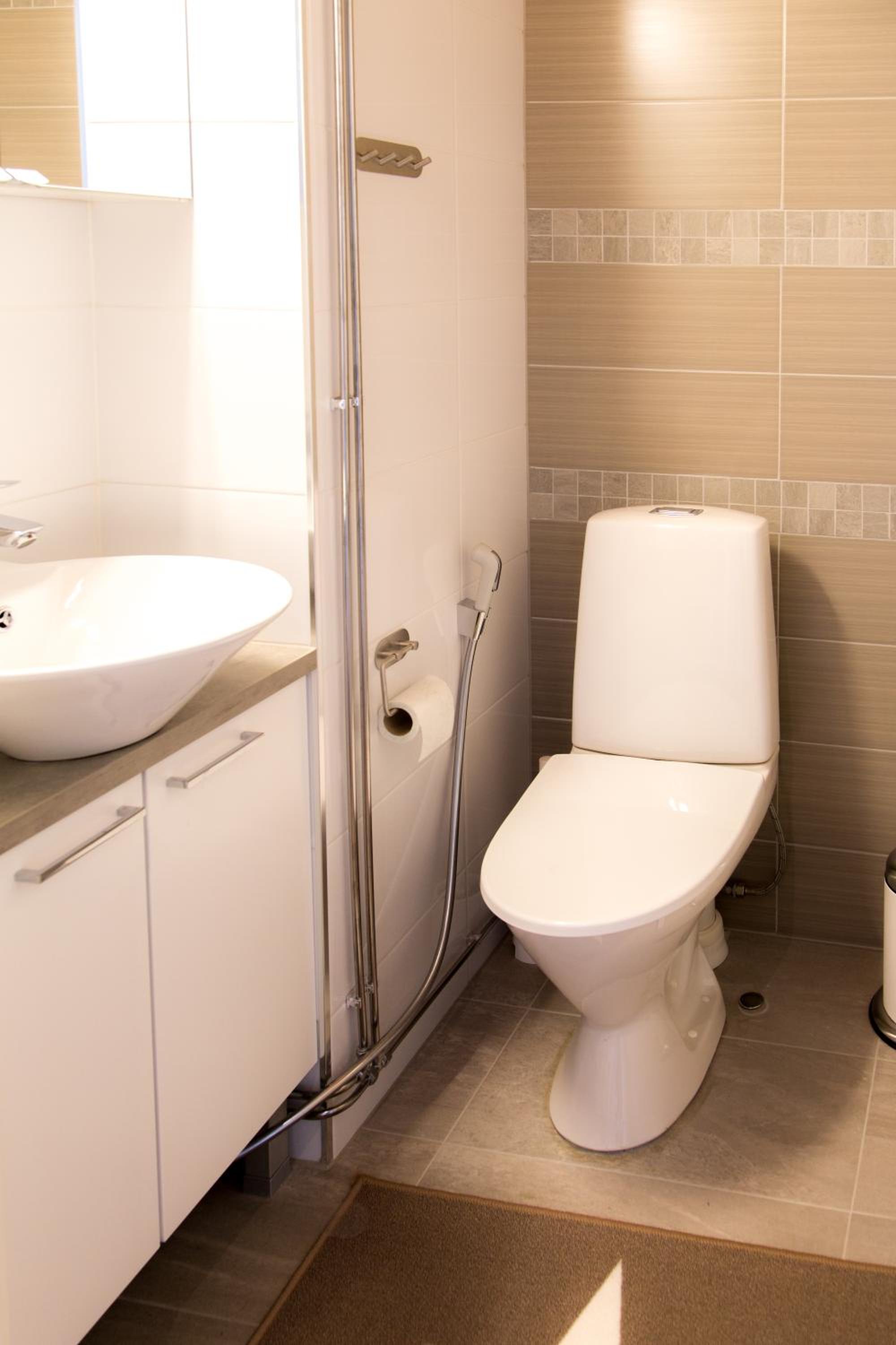 Deluxe Apartment with Sauna - Photo 11