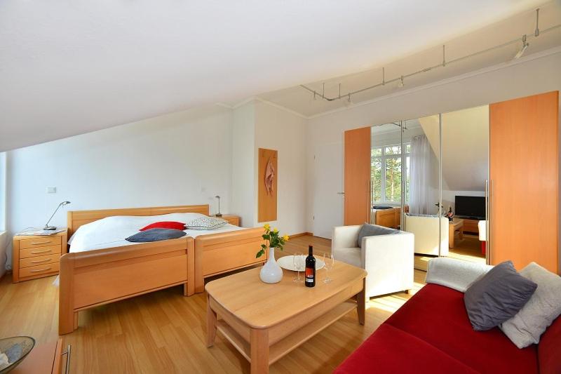 Penthouse Apartment photo 1