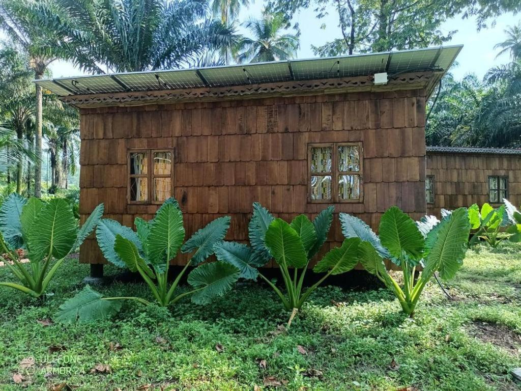 Superior Bungalow photo 2