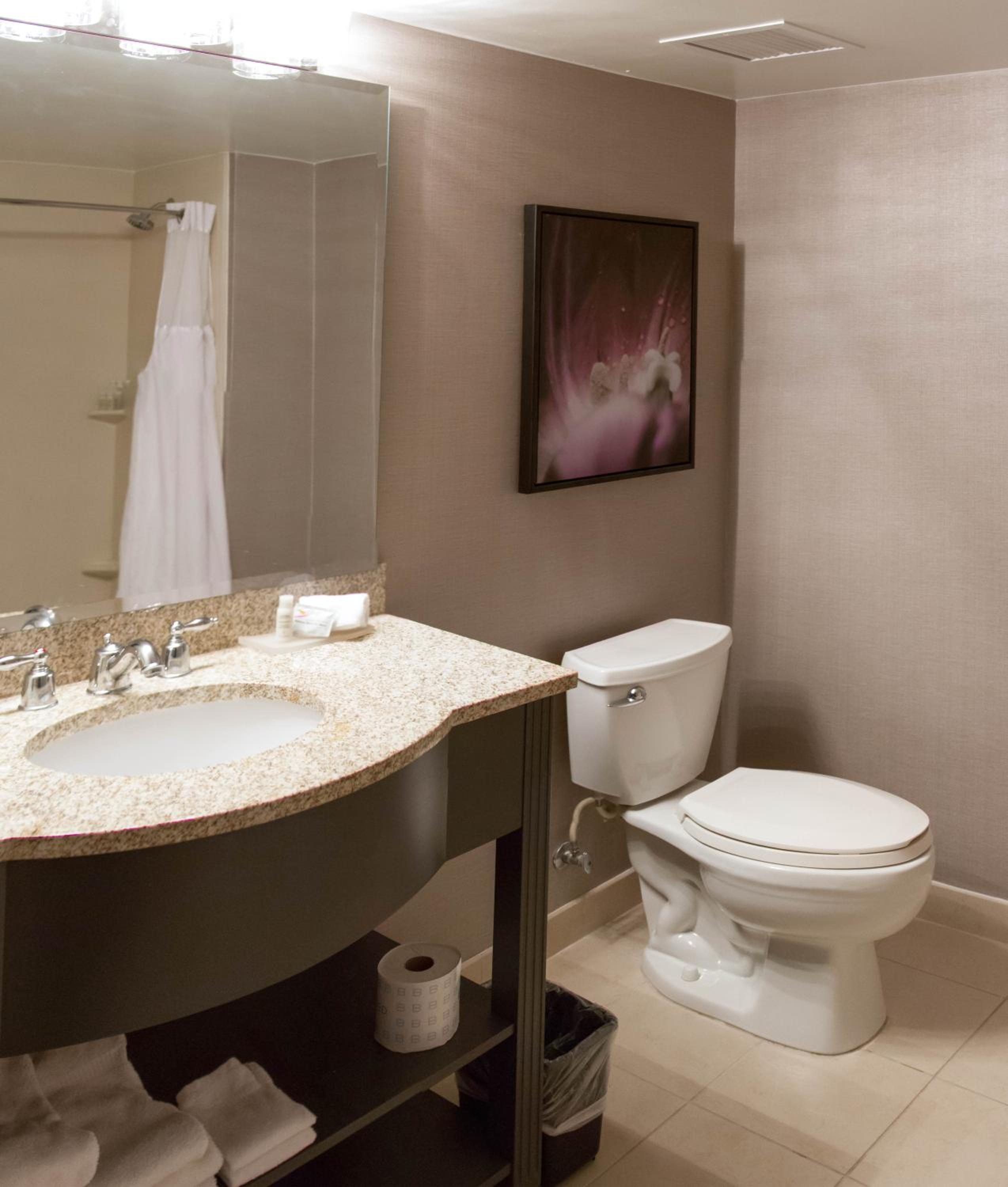 King Suite - Mobility Access/Non-Smoking - Photo 5