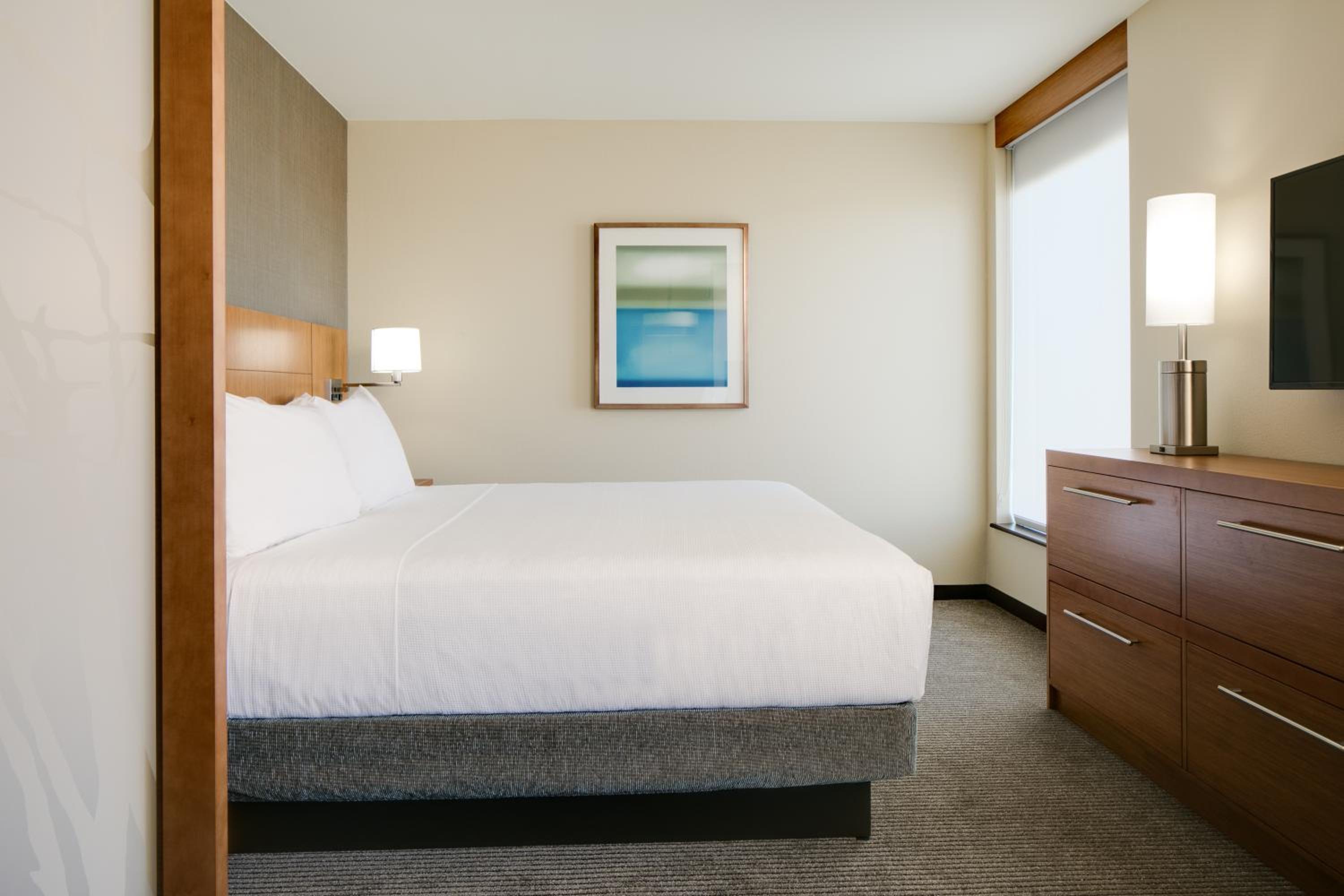 Specialty King Room with Sofa Bed photo 2