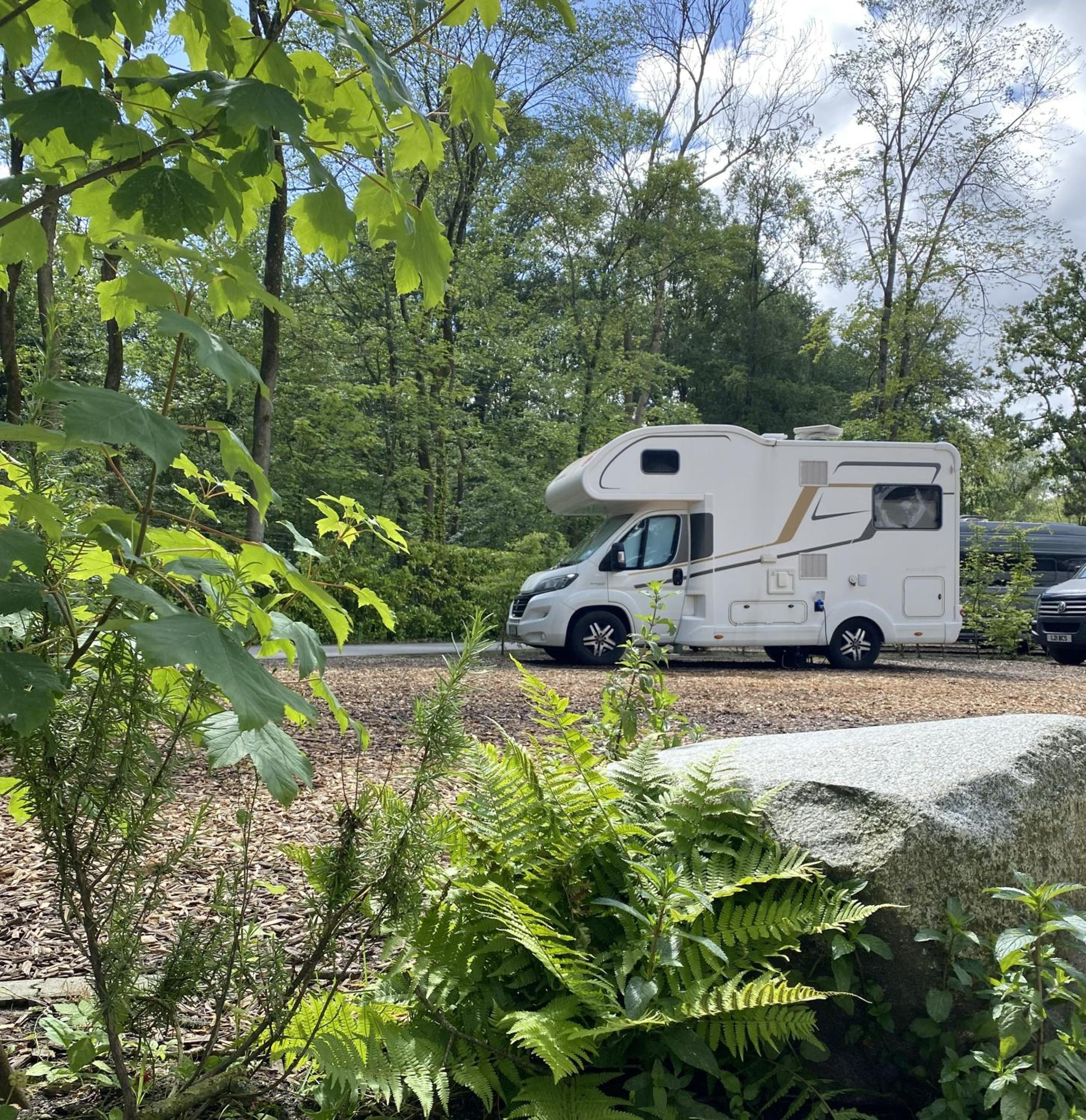 Camping spot photo 3