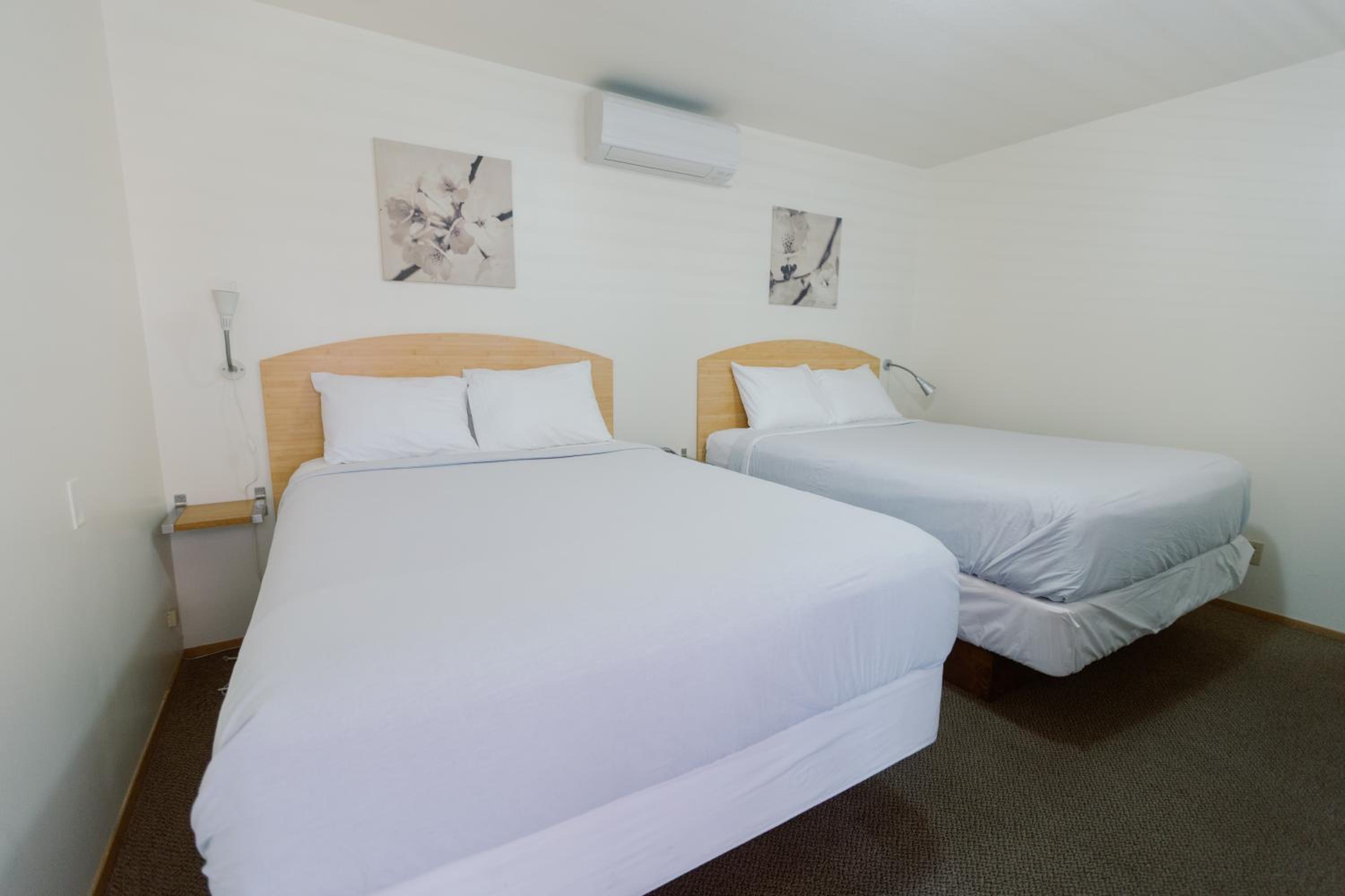 One-Bedroom Suite photo 2