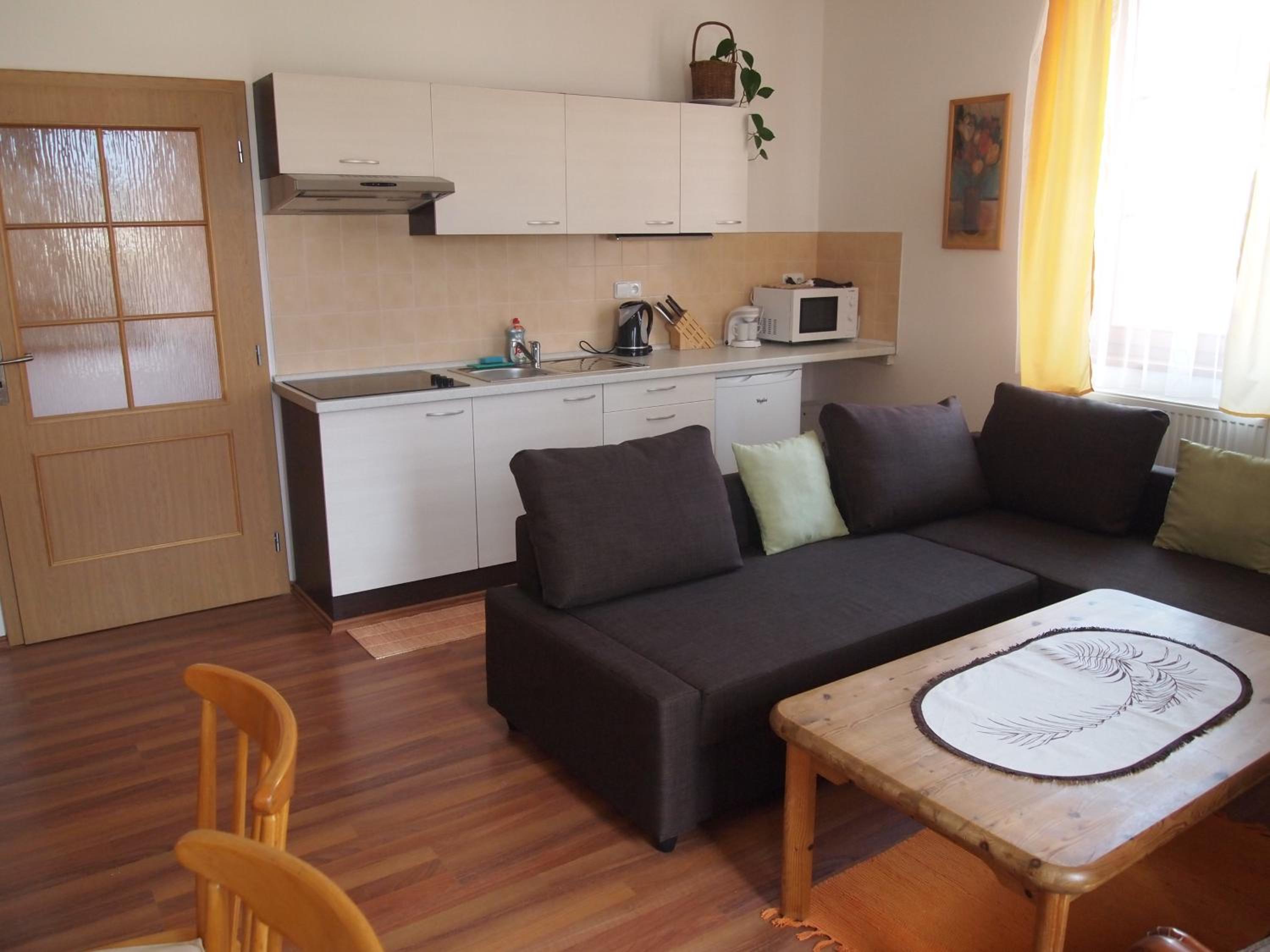 One-Bedroom Apartment with Kitchenette and Terrace photo 3