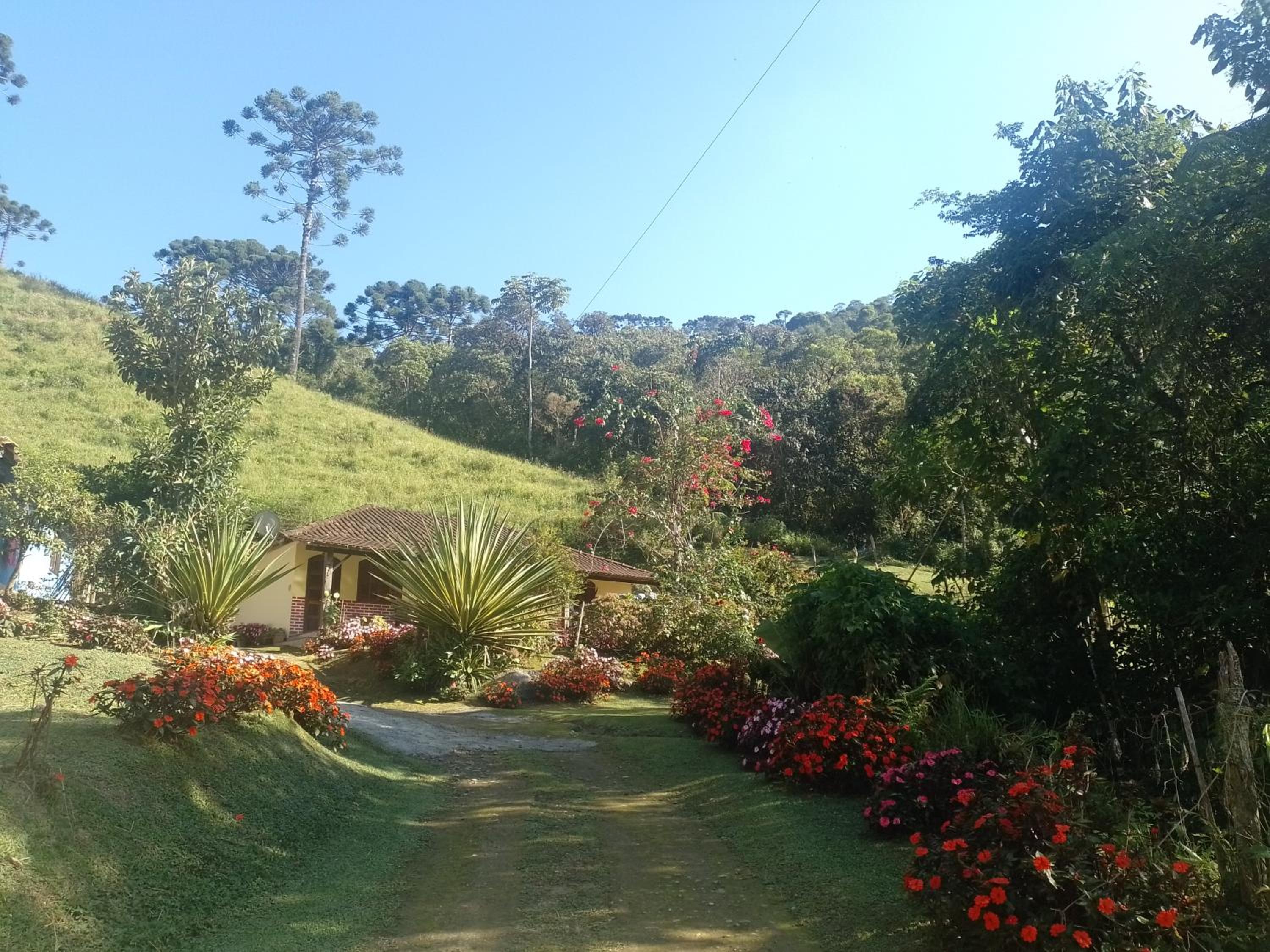 Vacation Home photo 1