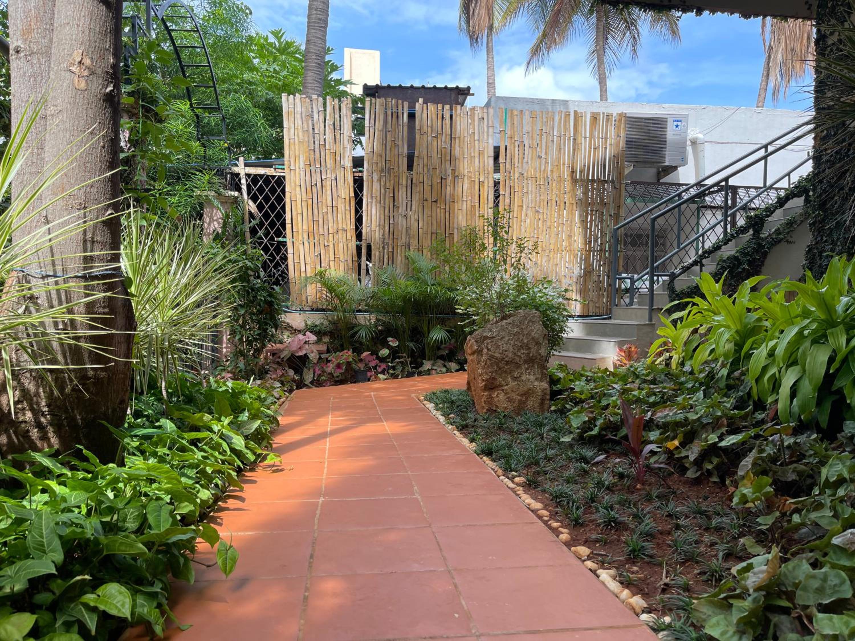 Double Room with Balcony photo 3