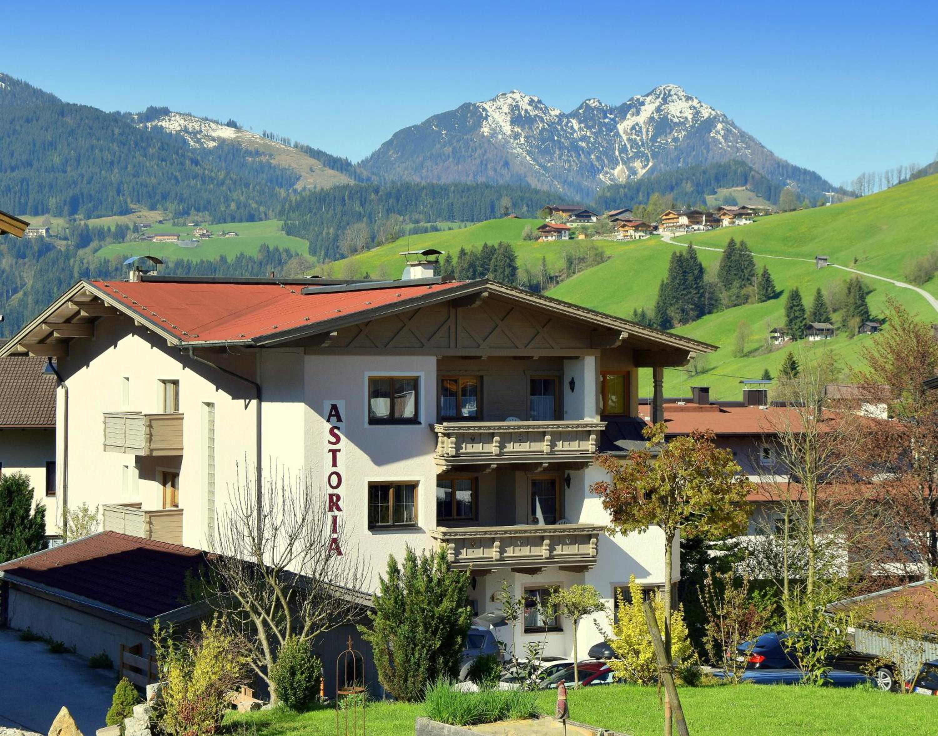 Comfort One-Bedroom Apartment with Balcony photo 3