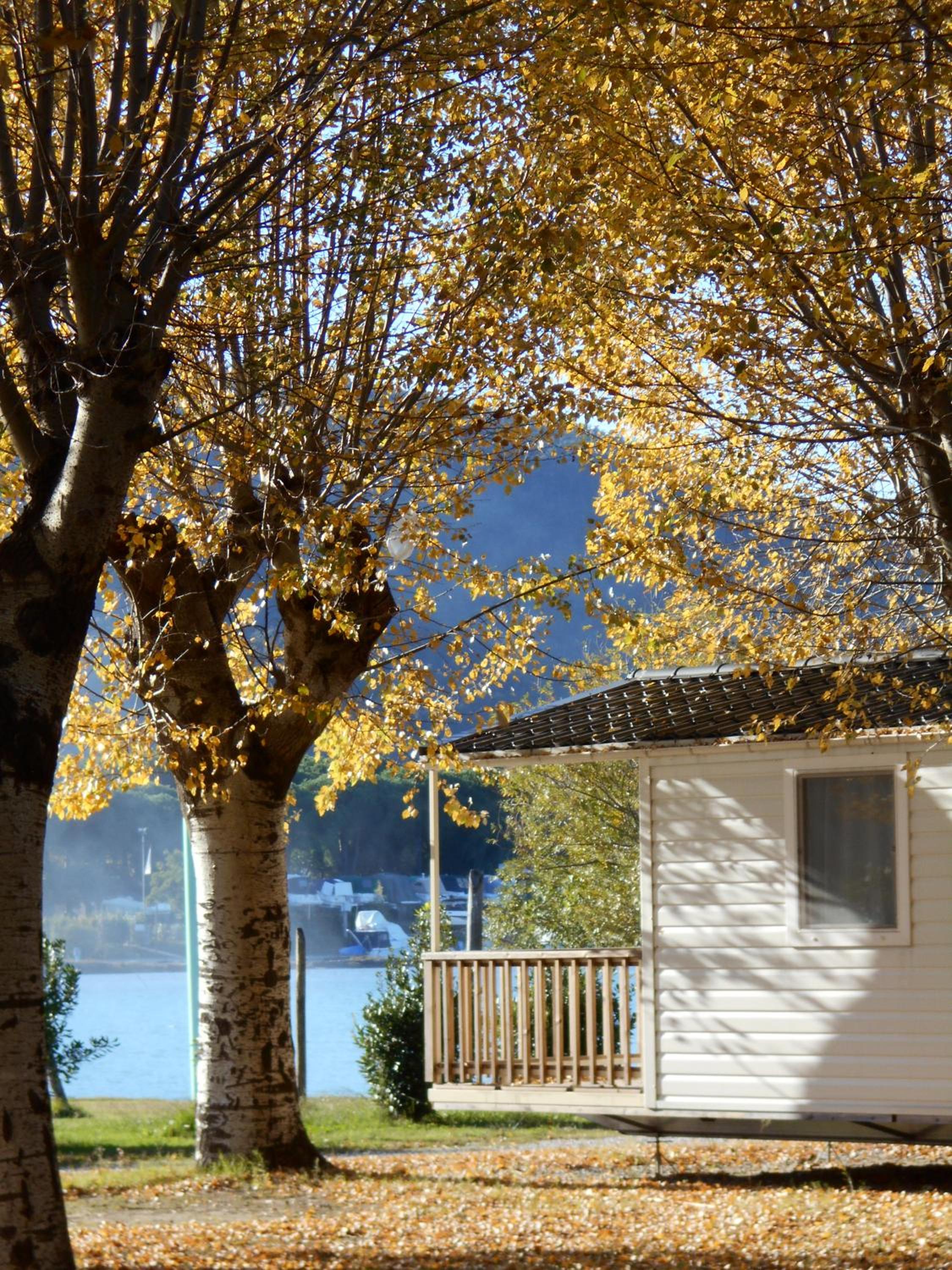 Mobile Home photo 3