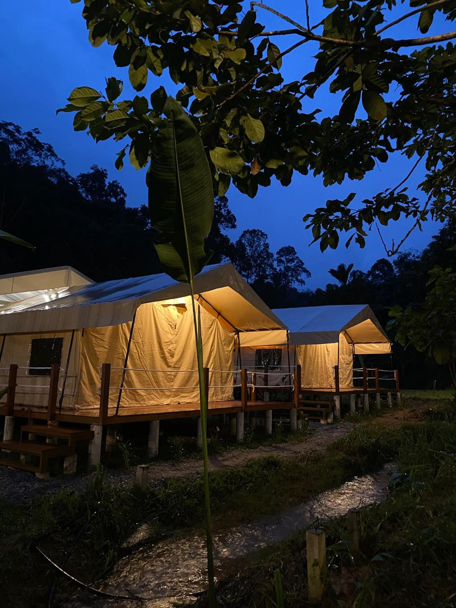 Safari Superior Tent photo 1