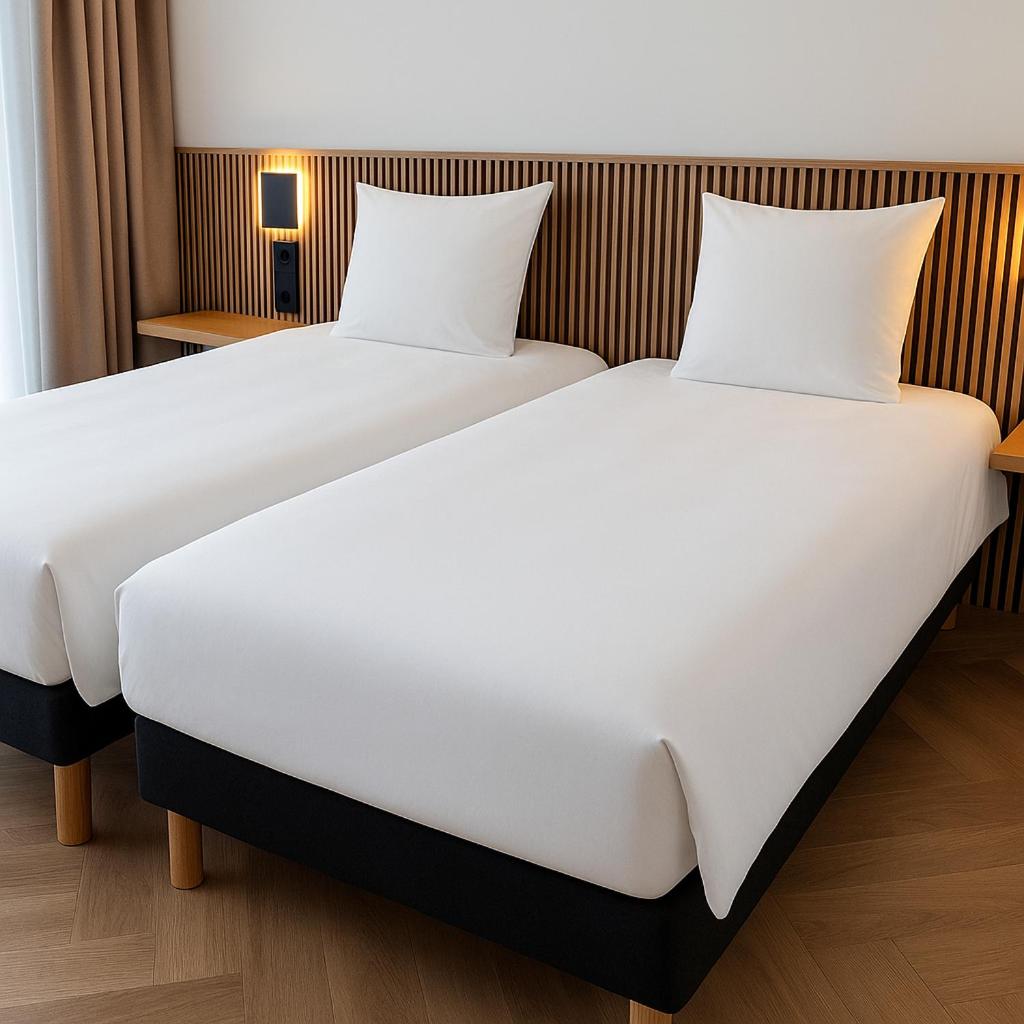 Deluxe Twin Room photo 2