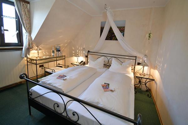 Large Single Room