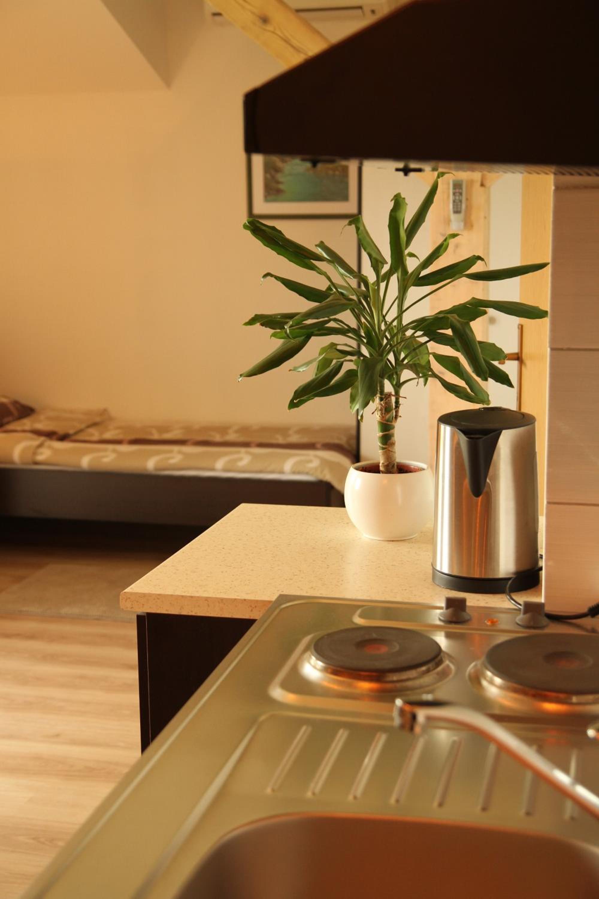 Studio (4 Adults) - Photo 3
