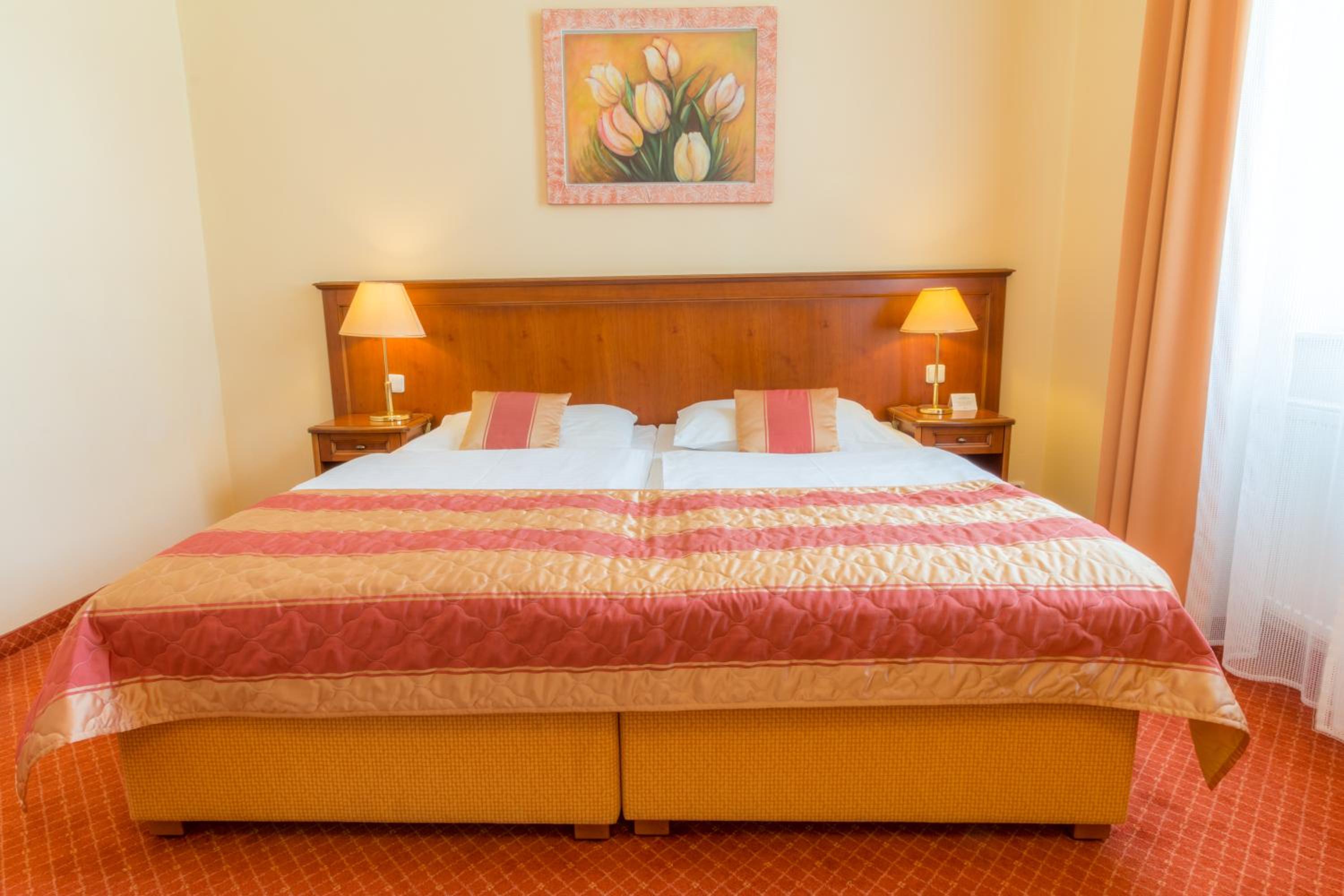 Superior Double or Twin Room with Wellness and Fitness Access - Photo 12