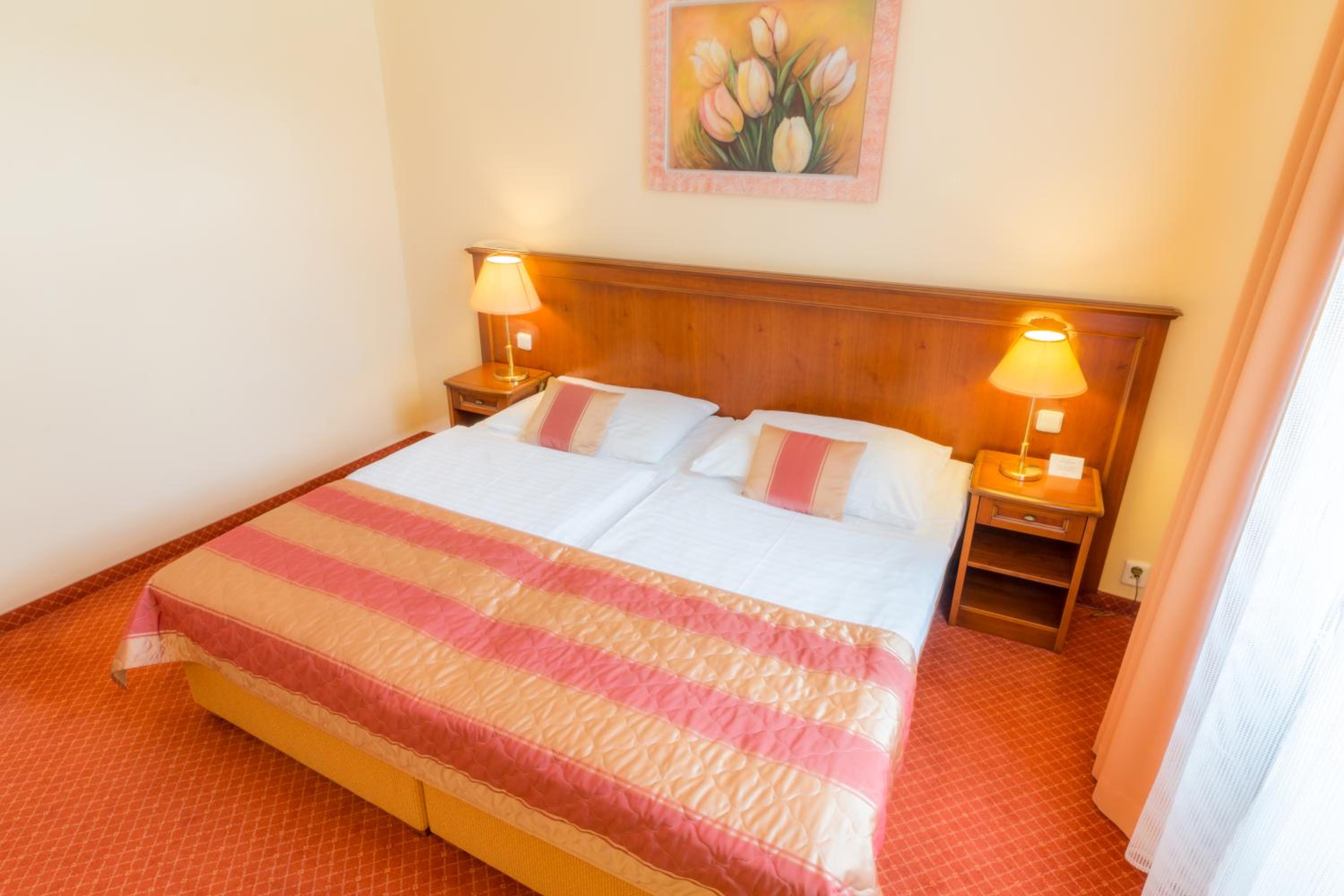 Superior Double or Twin Room with Wellness and Fitness Access - Photo 15