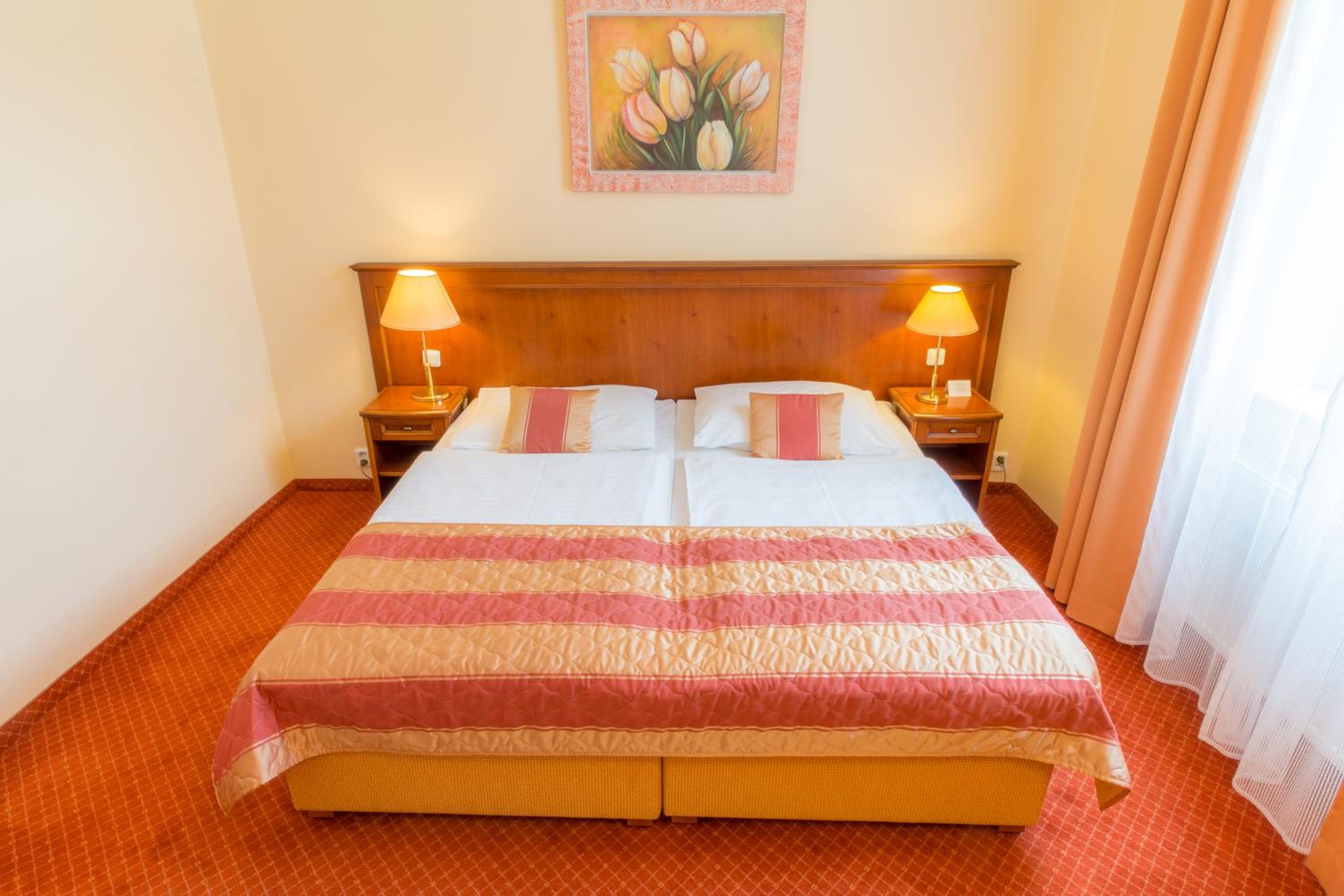 Superior Double or Twin Room with Wellness and Fitness Access - Photo 16