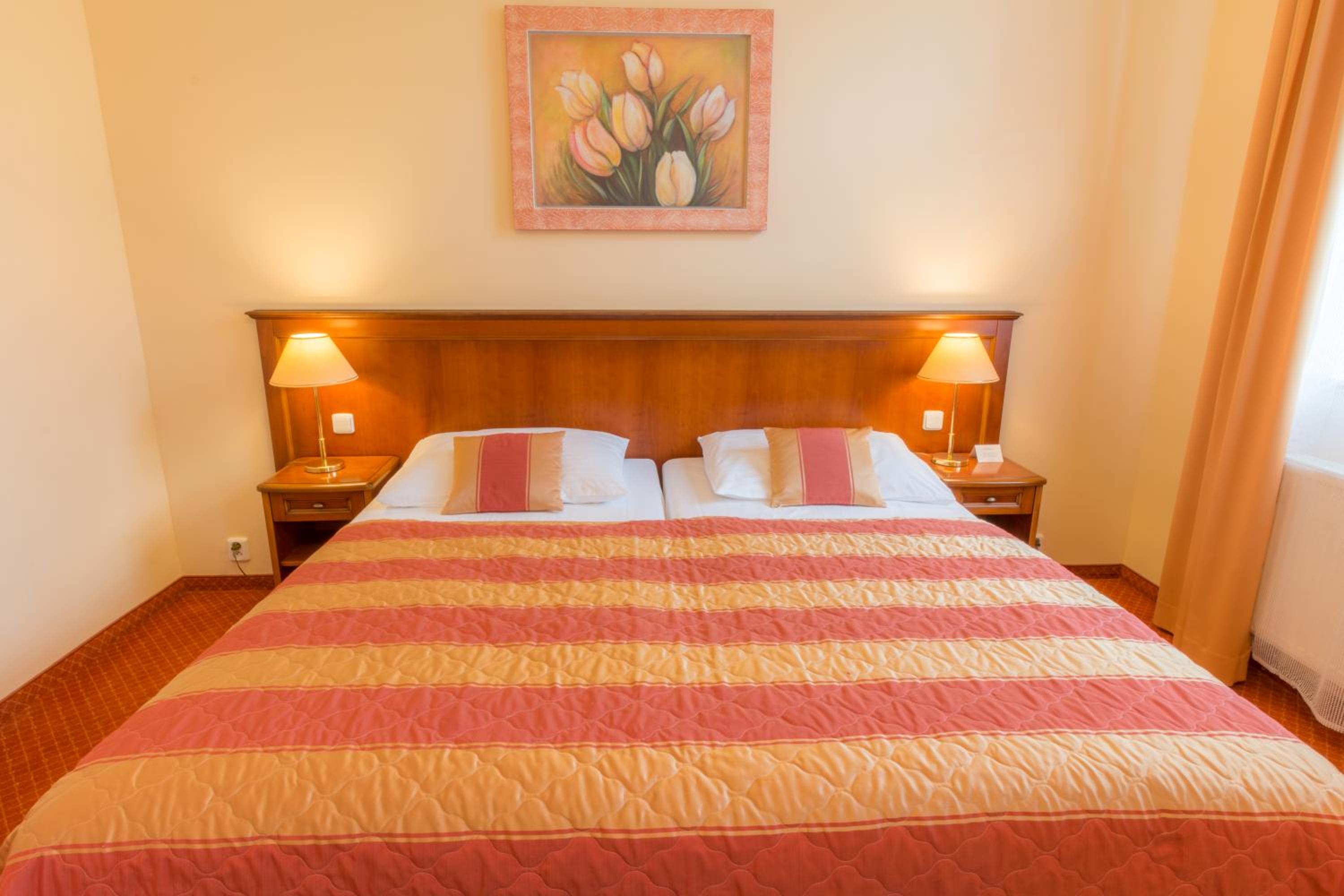 Superior Double or Twin Room with Wellness and Fitness Access - Photo 18
