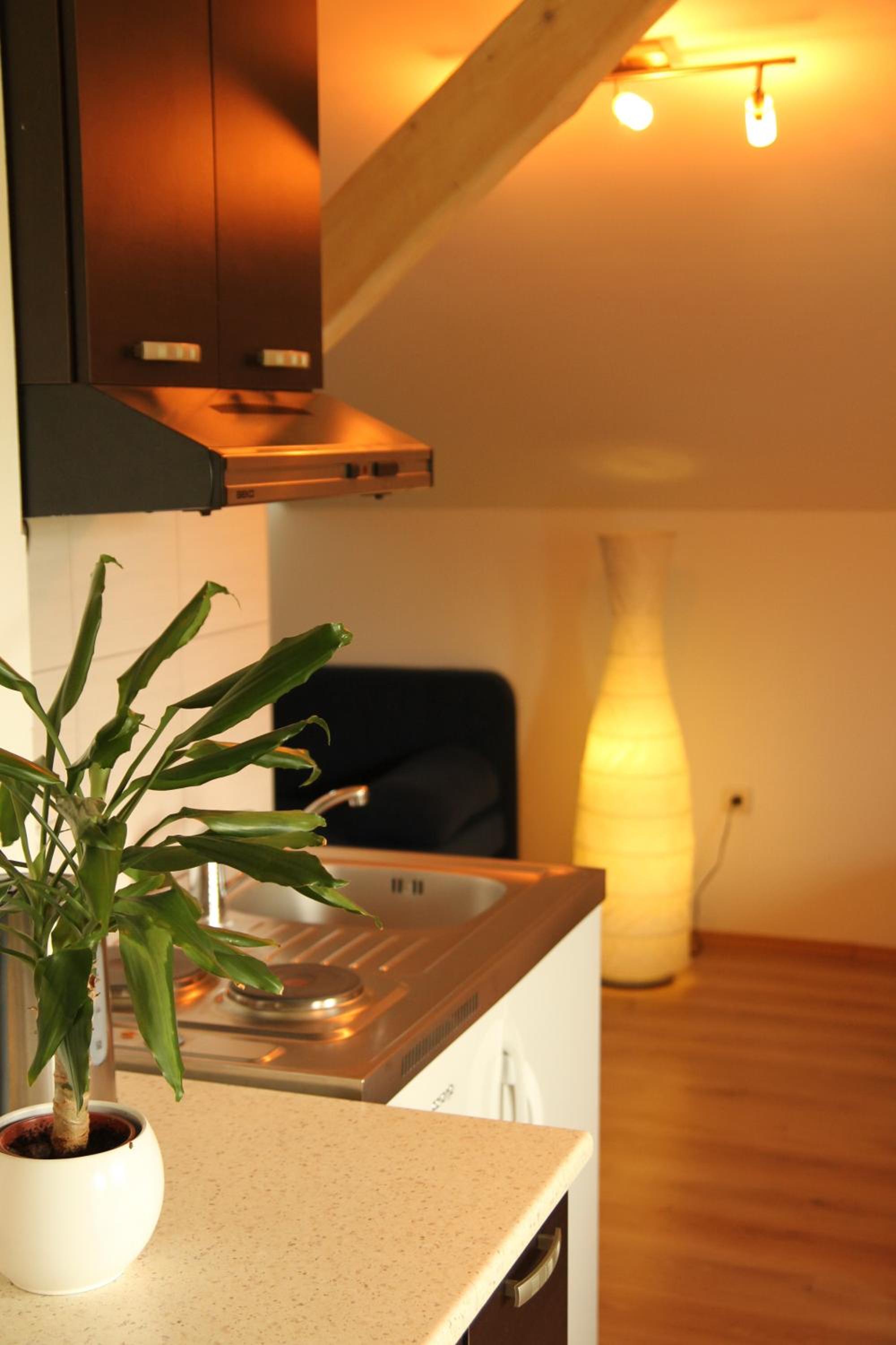 Studio (4 Adults) - Photo 33