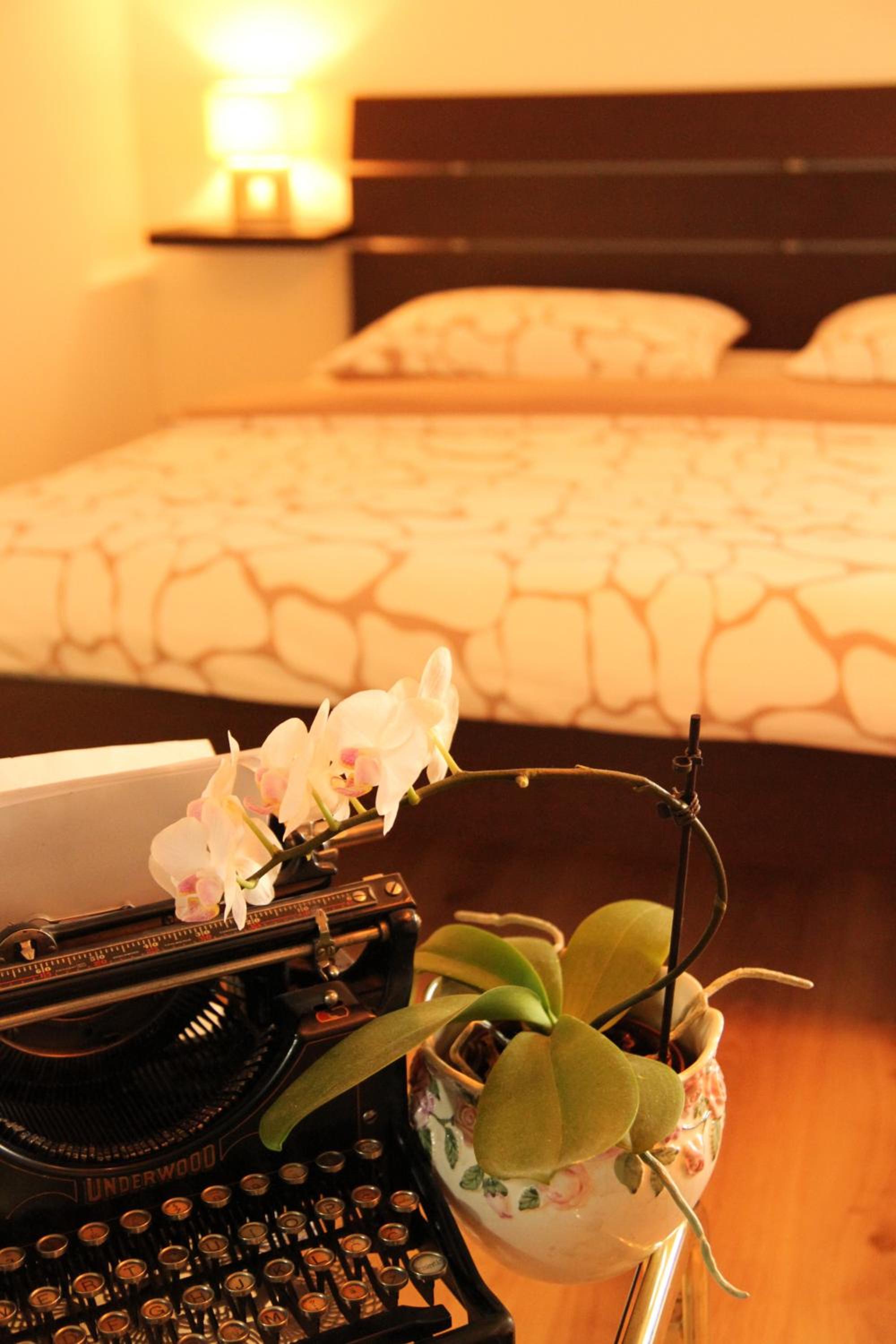 Studio (4 Adults) - Photo 13