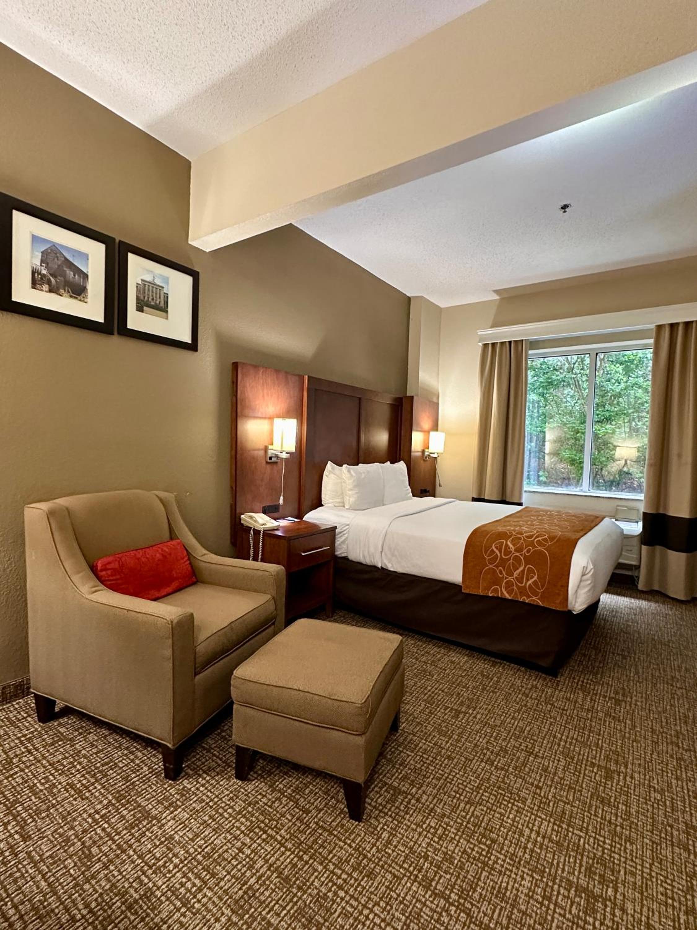 Queen Room with Accessible Roll-In Shower - Accessible/Non-Smoking - Photo 1
