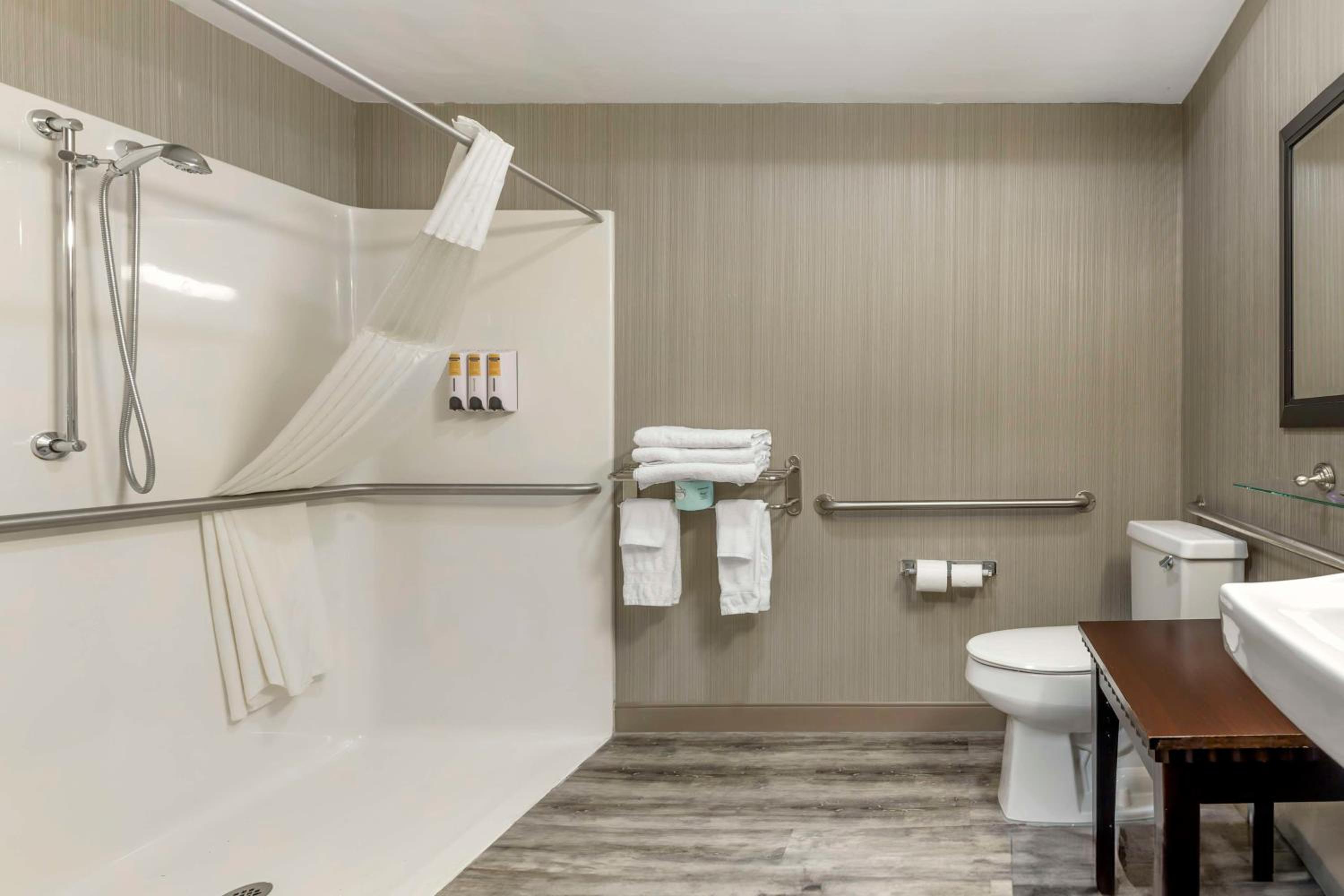 King Suite with Roll-In Shower and Sofa Bed - Disability/Non-Smoking - Photo 1