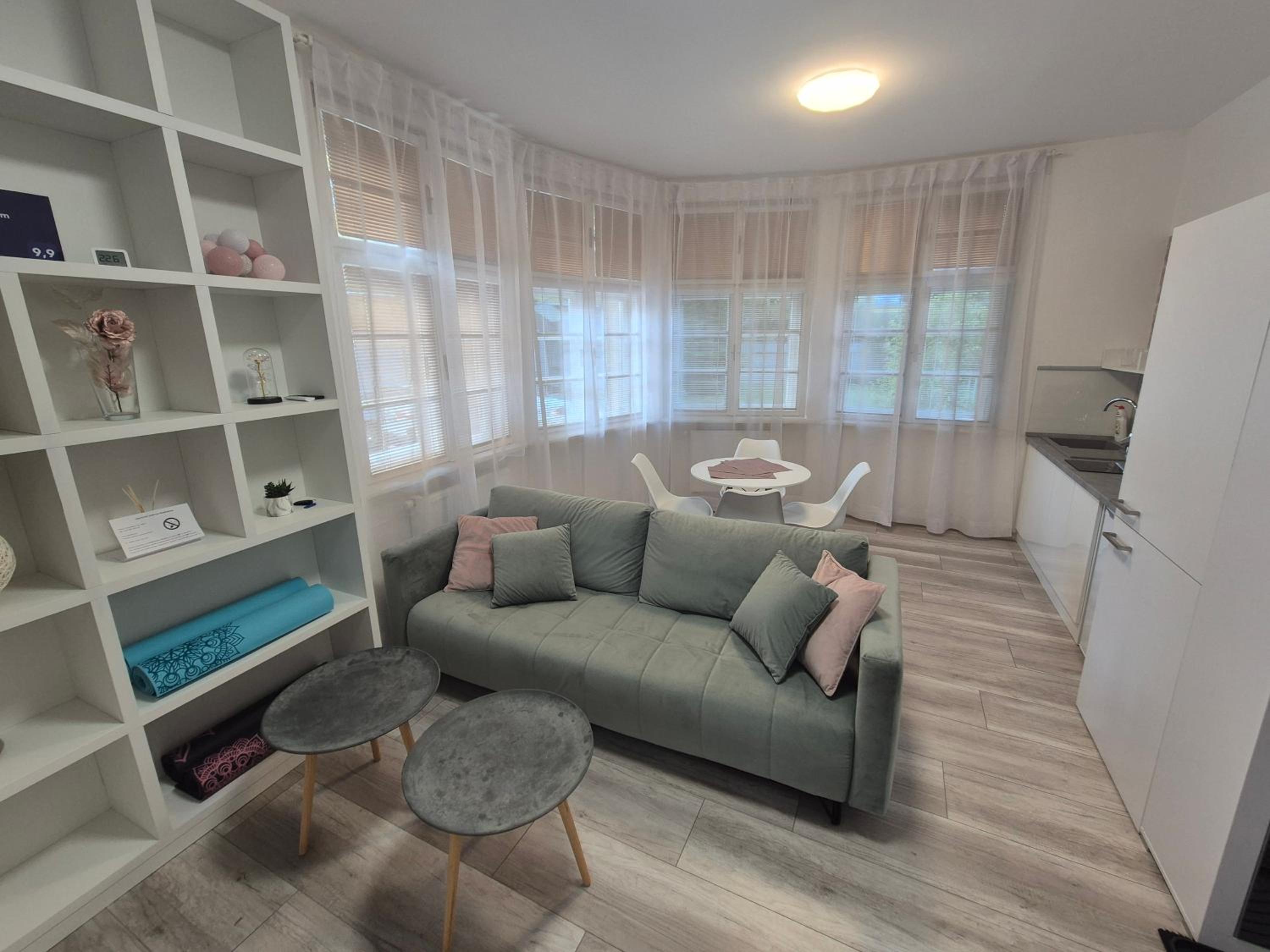 Superior Apartment photo 3