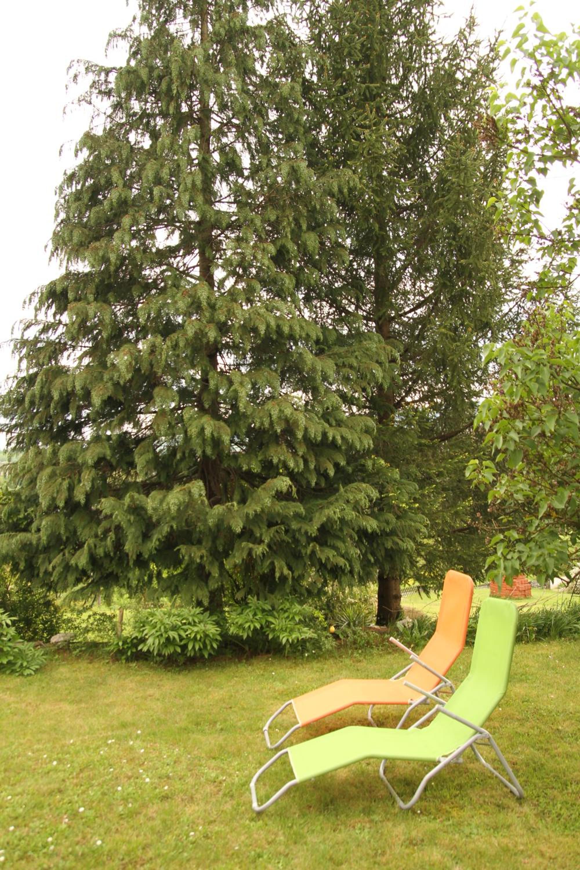 Studio (4 Adults) - Photo 21