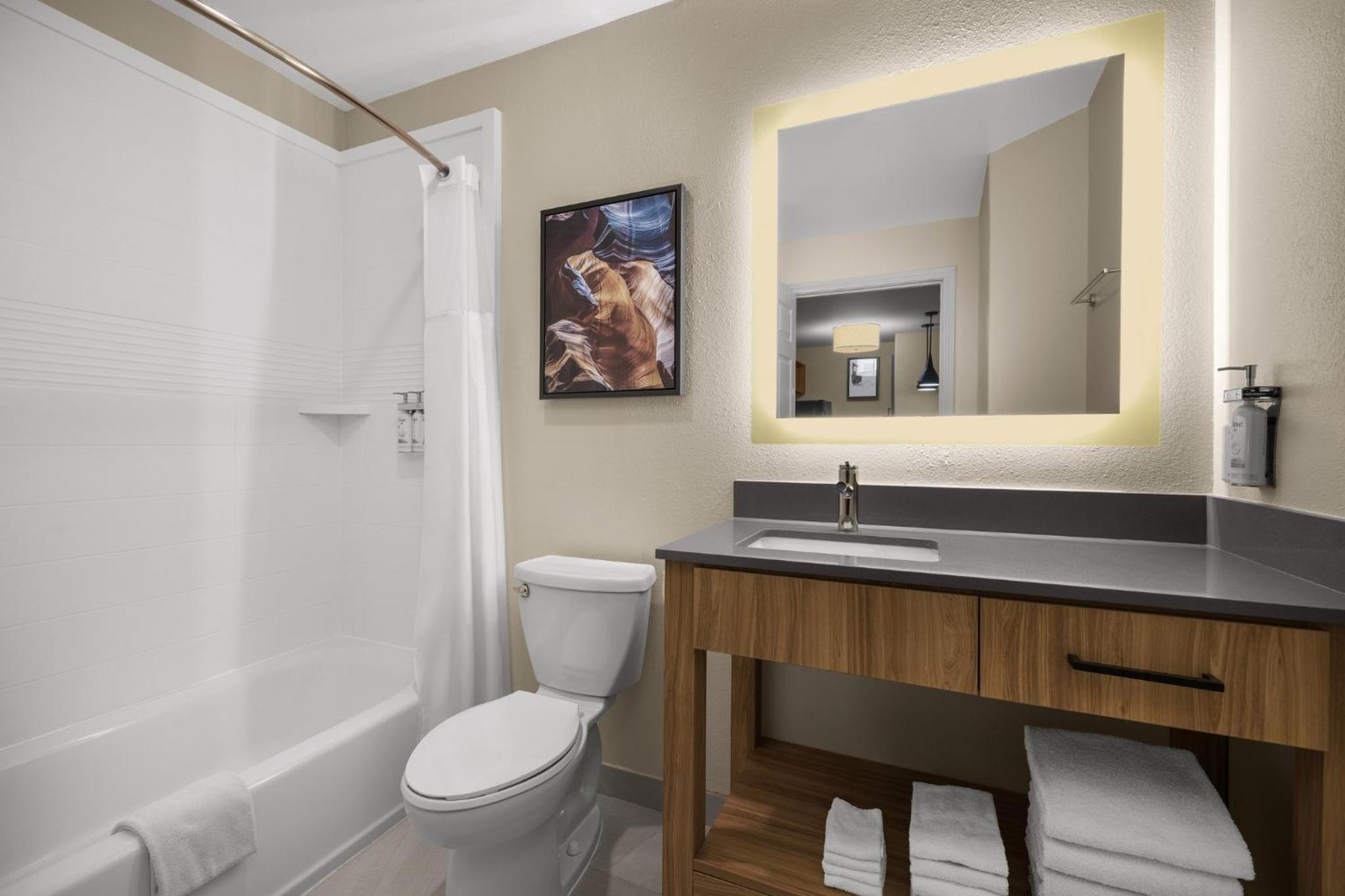 King Studio Suite - Photo 6
