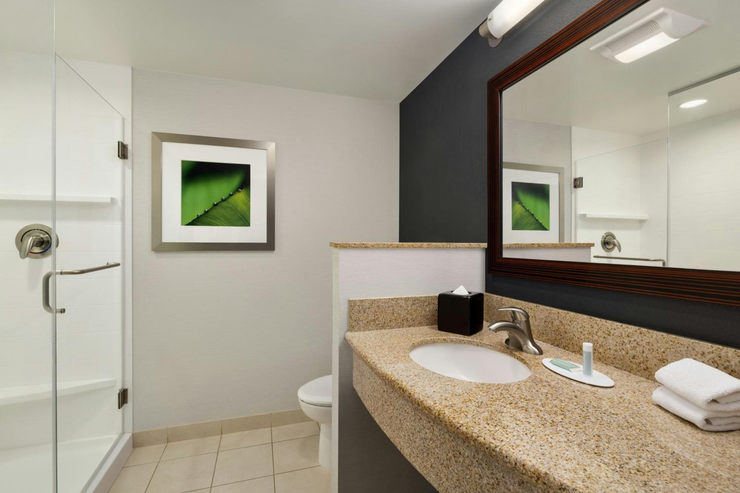 Courtyard by Marriott Greenville, Zdjęcie 9