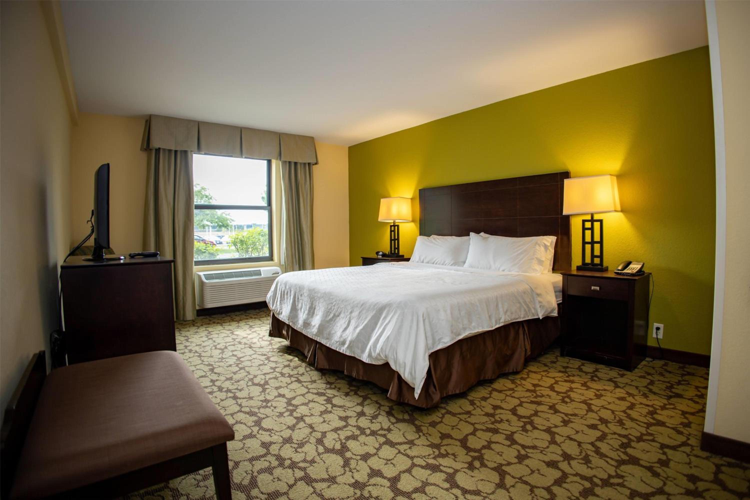 One-Bedroom King Suite - Non-Smoking - Photo 1