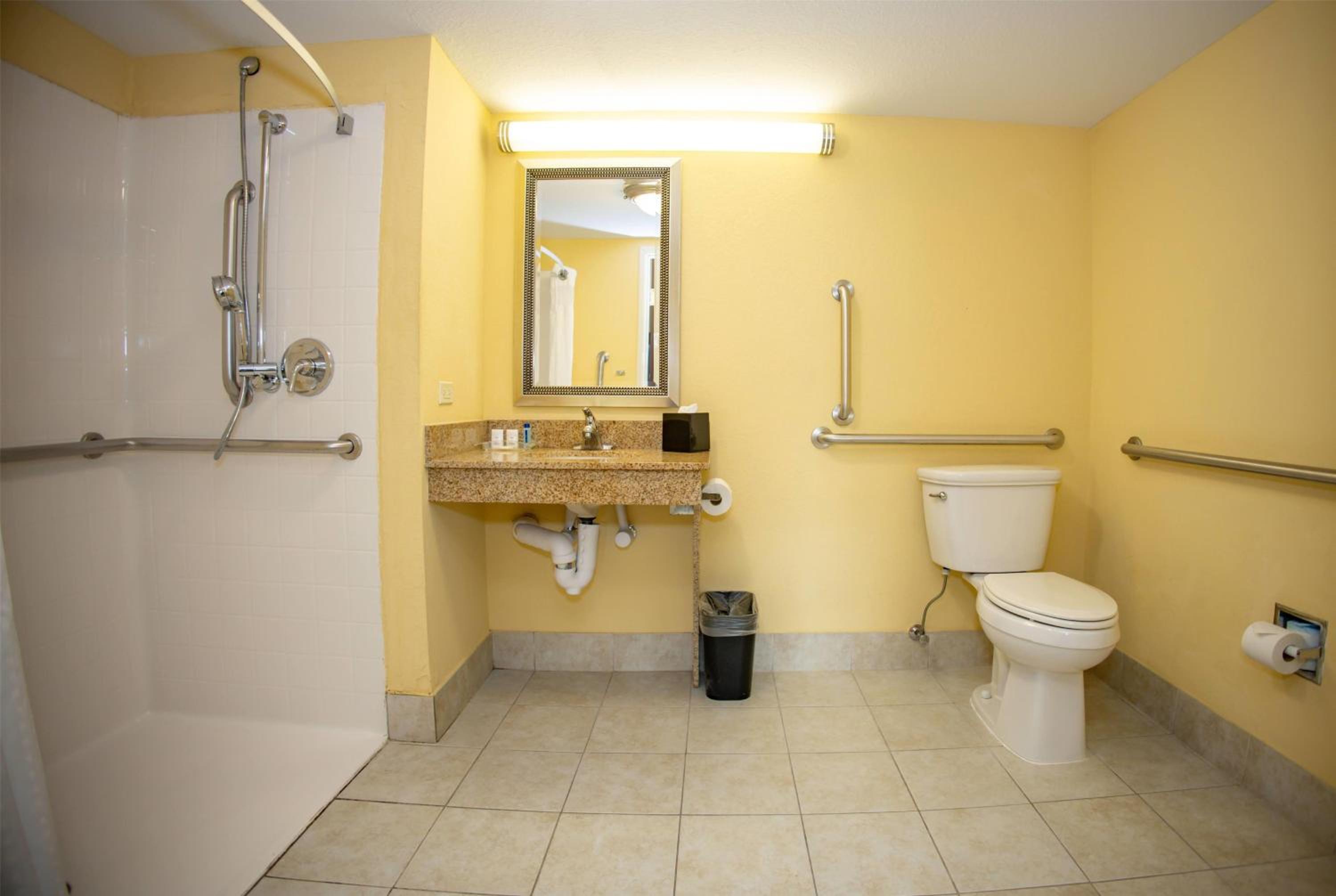 King Room with Roll-In Shower - Mobility Accessible/Non-Smoking - Photo 1