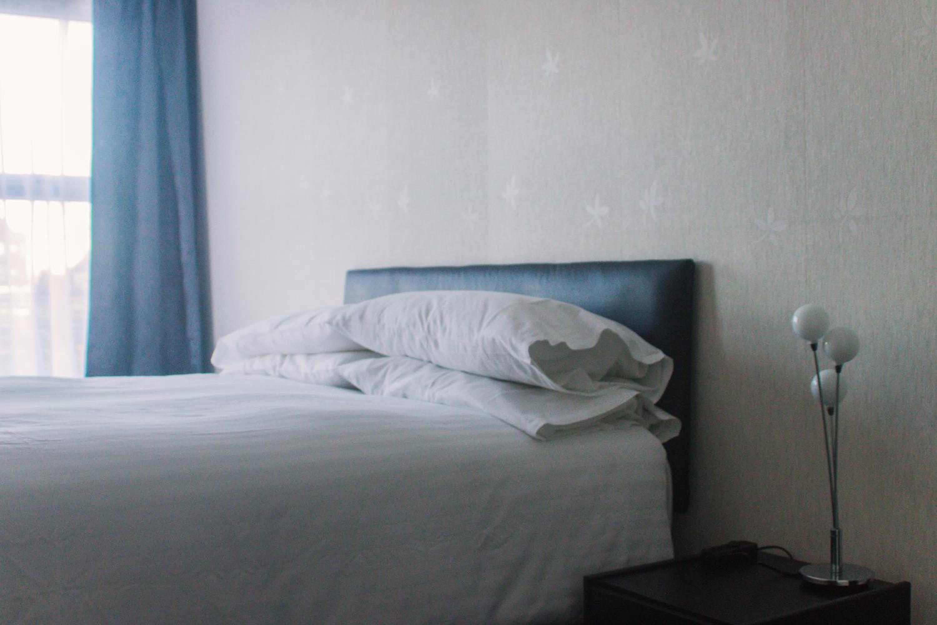King Room photo 2