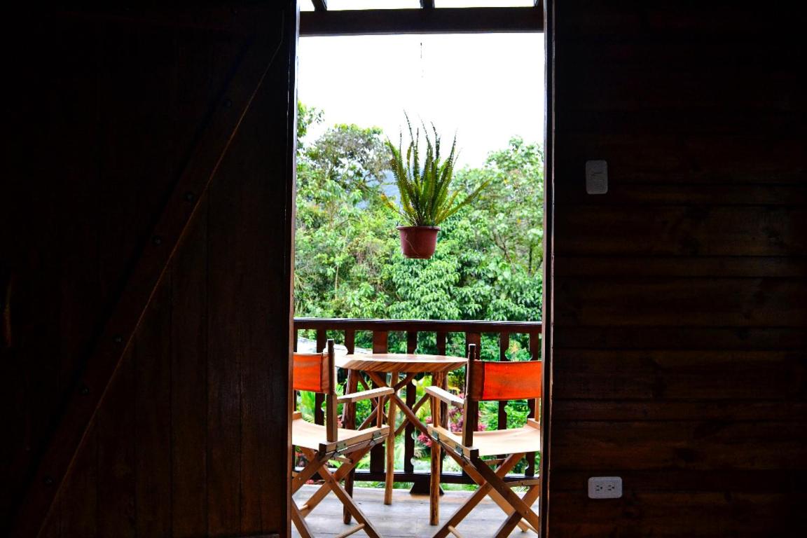 Queen Room with Garden View photo 3