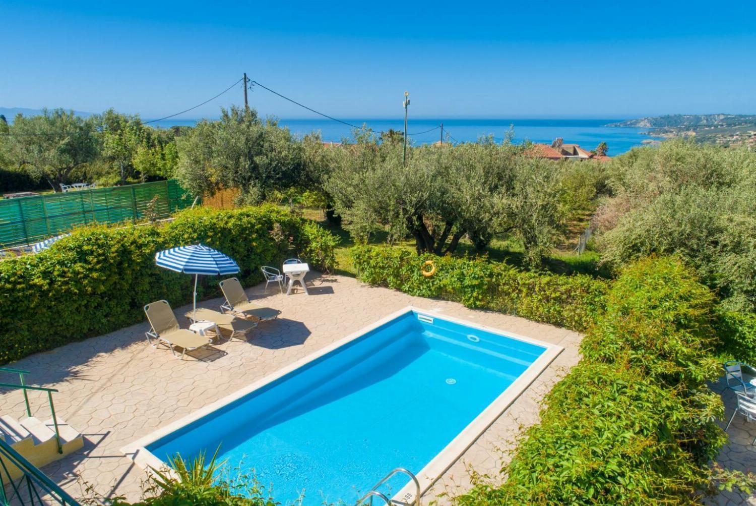  Villa With Private Pool photo 3