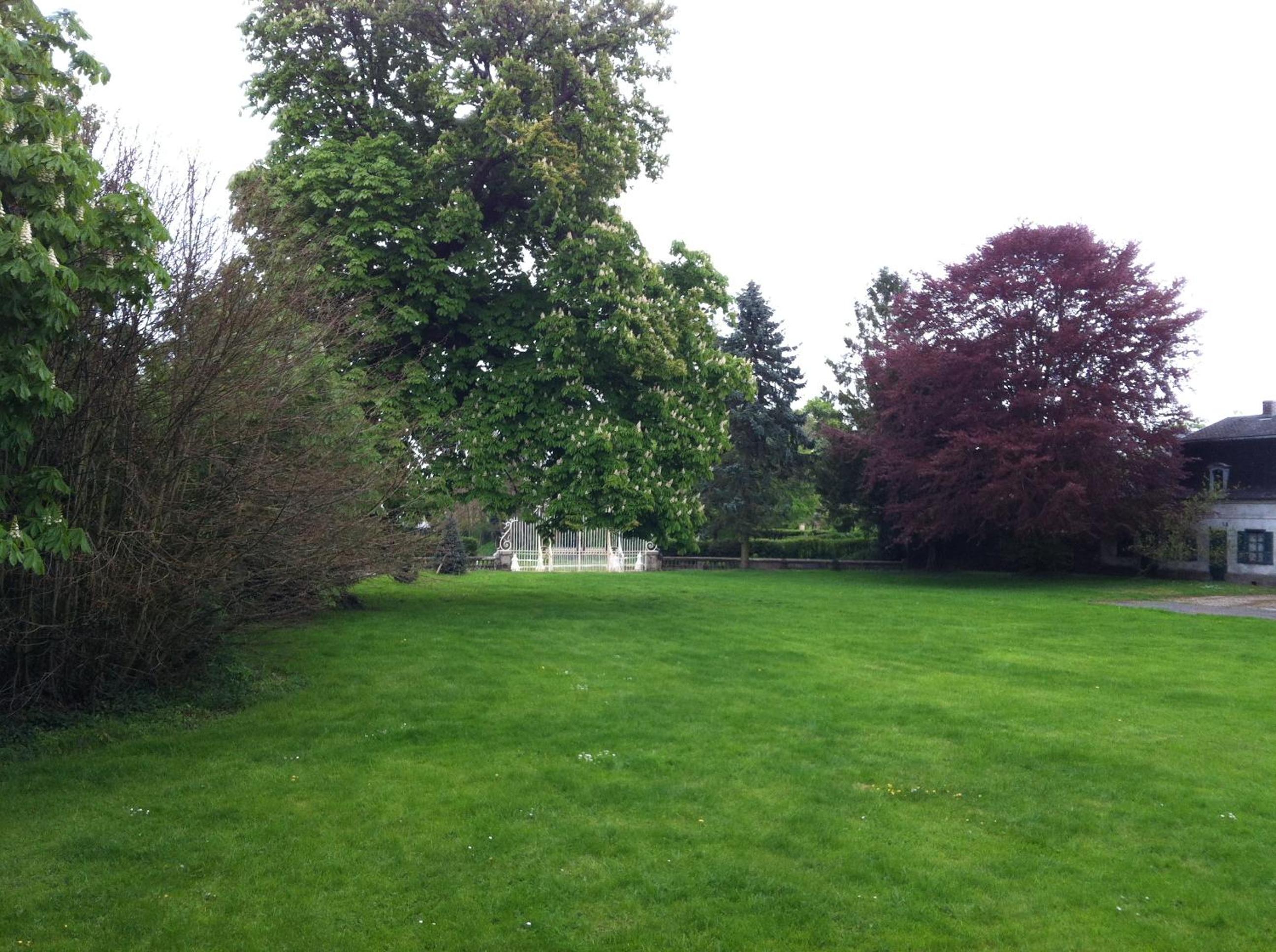 Double Room with Garden View photo 1