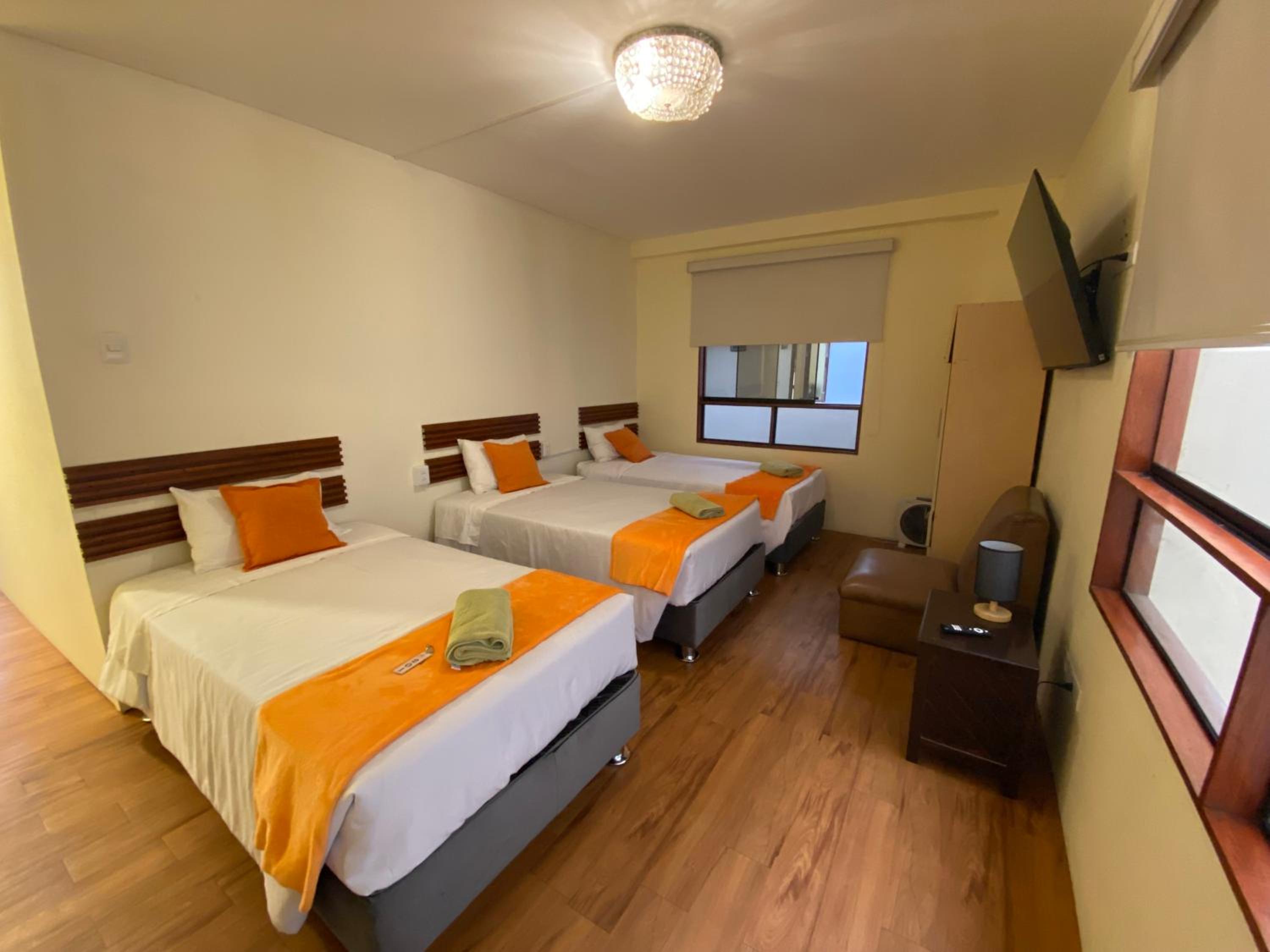 Triple Room with Private External Bathroom photo 3