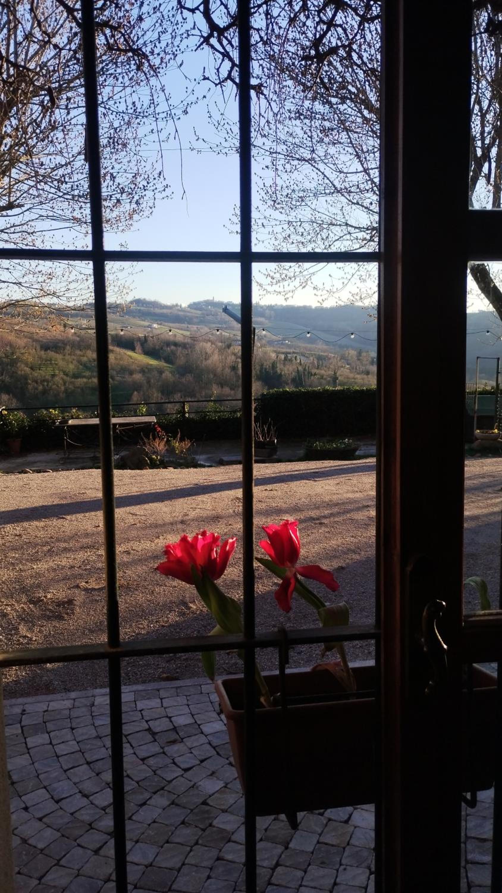 Cascina Sant'Eufemia, Photo 6