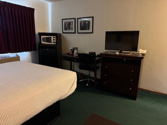 Family Suite photo 1
