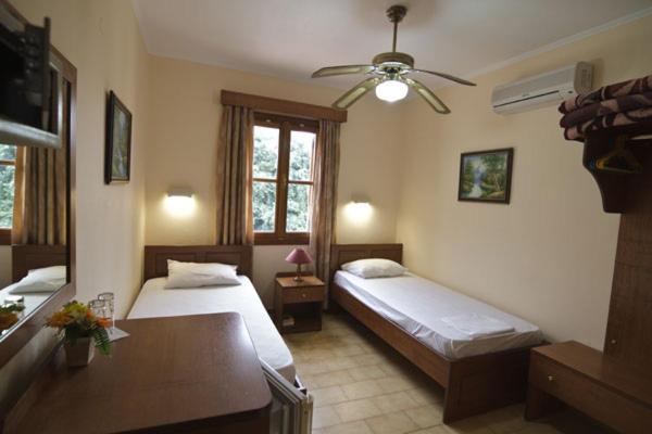 Deluxe Double or Twin Room photo 3