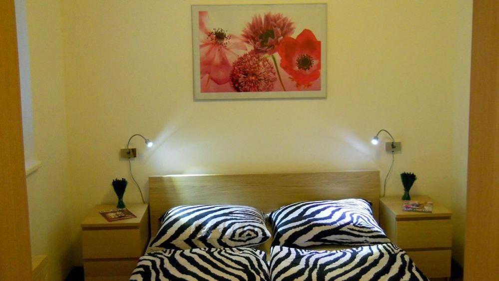 Apartment with Mountain View photo 3