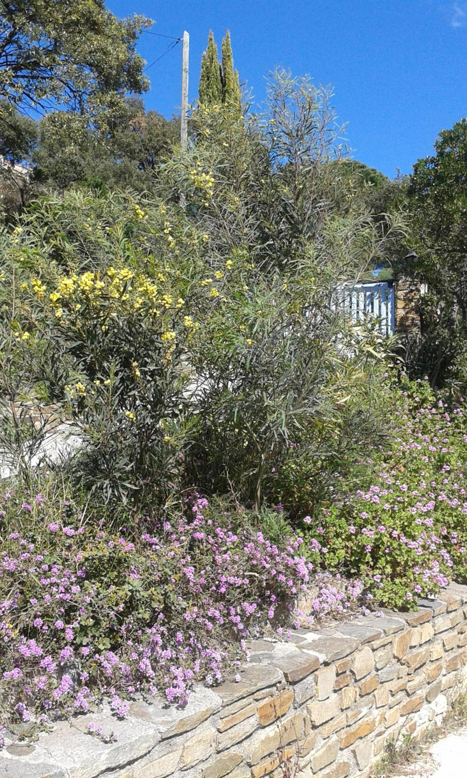 Villa with Sea View photo 3