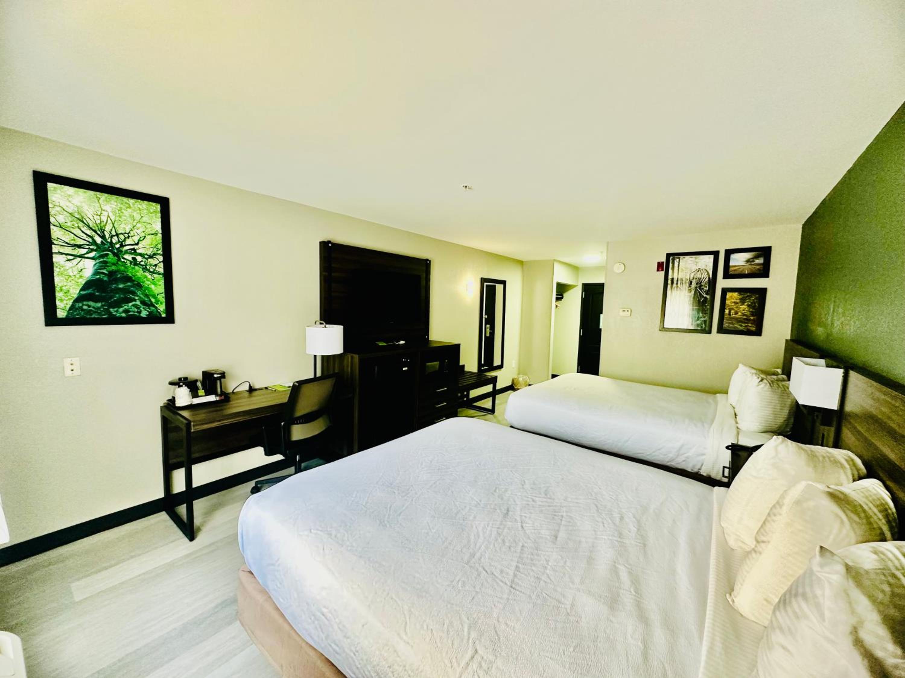 Queen Room with Two Queen Beds - Mobility Access/Non-Smoking - Photo 7