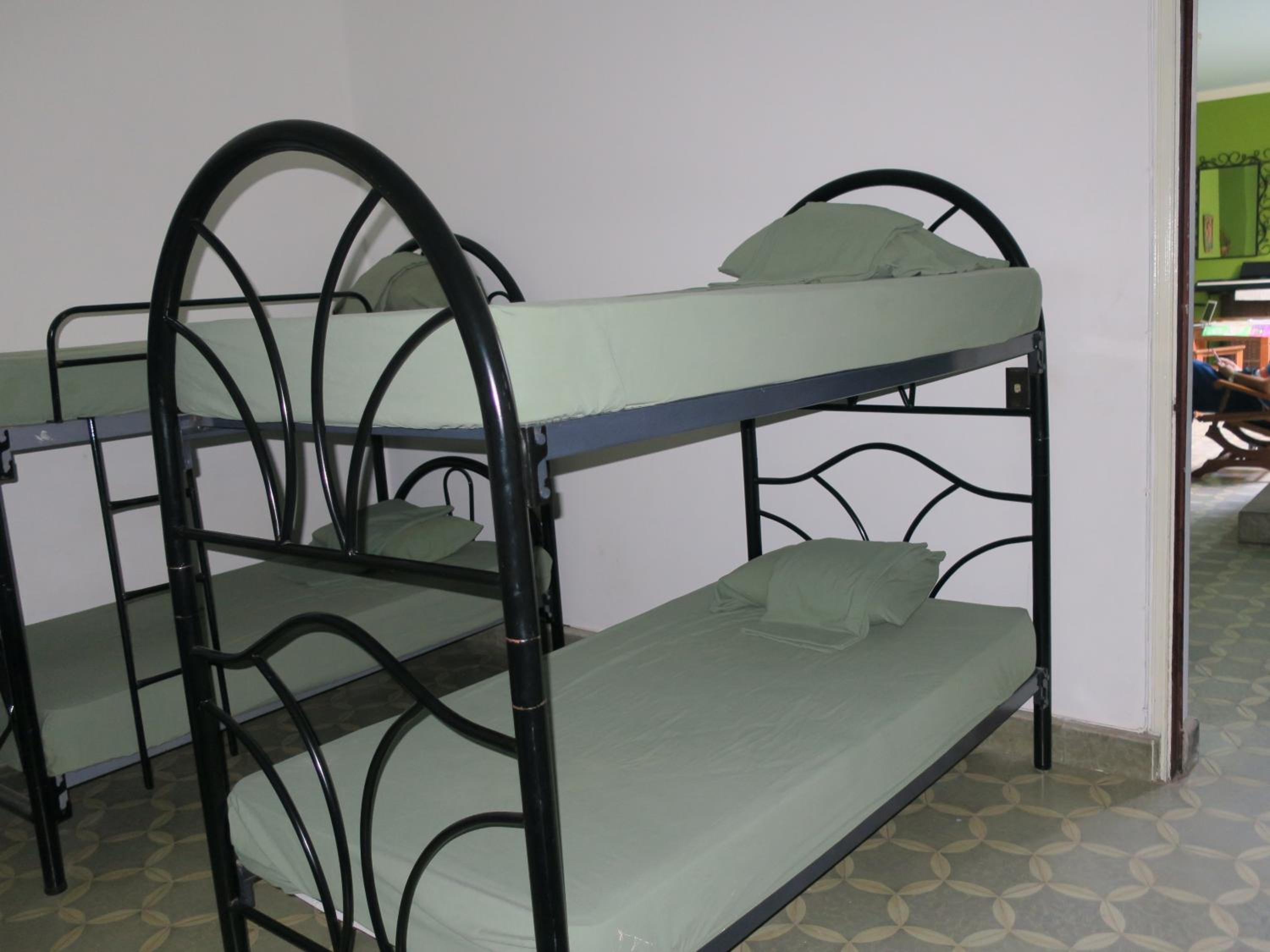 Bunk Bed in Female Dormitory Room