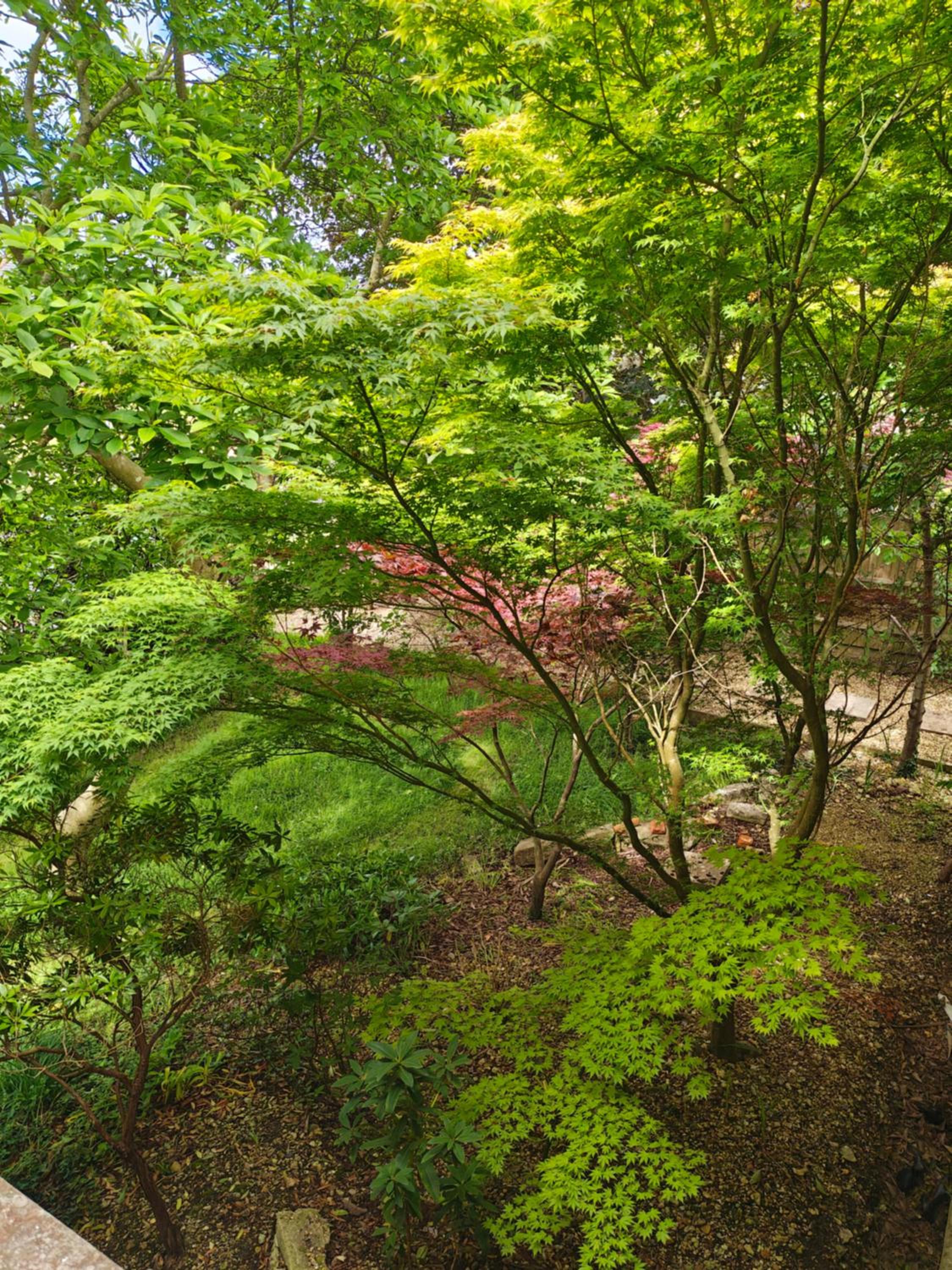 Double Room with Garden View