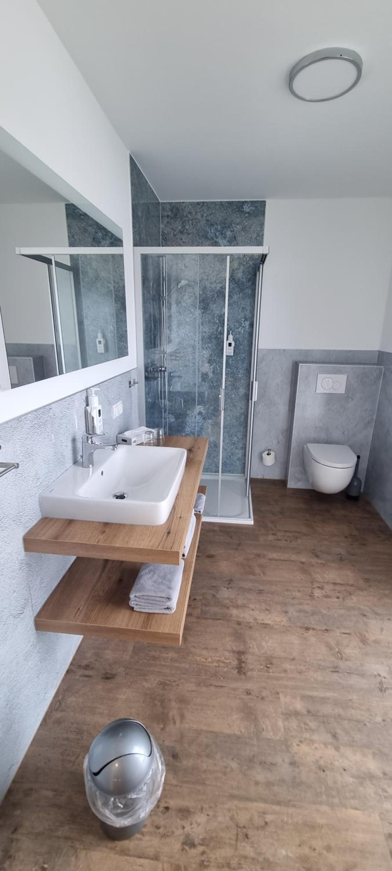 Deluxe Single Room photo 2