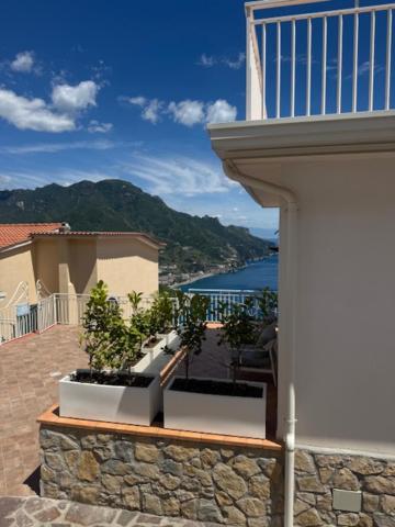 Deluxe Suite with Sea View