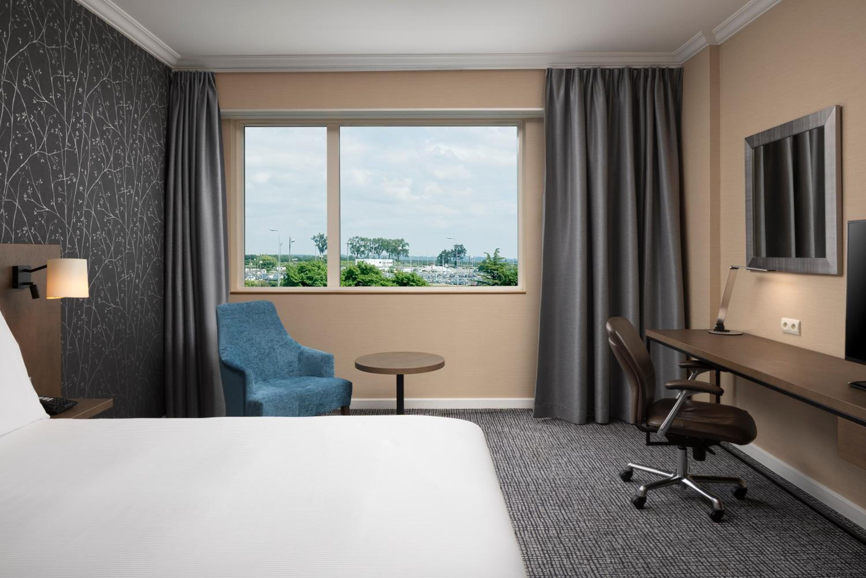King Accessible Room